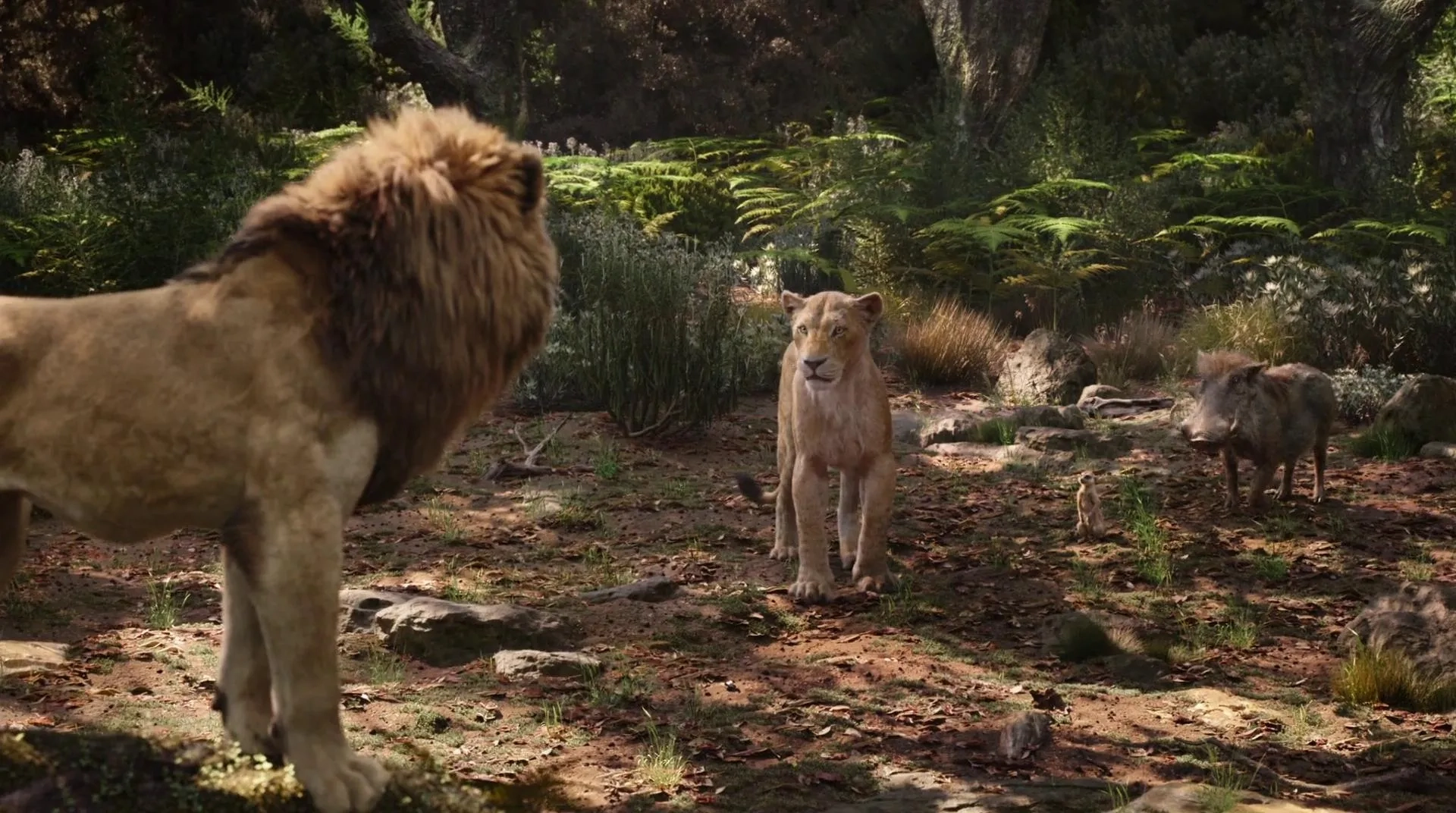 Beyoncé, Seth Rogen, Donald Glover, and Billy Eichner in The Lion King (2019)