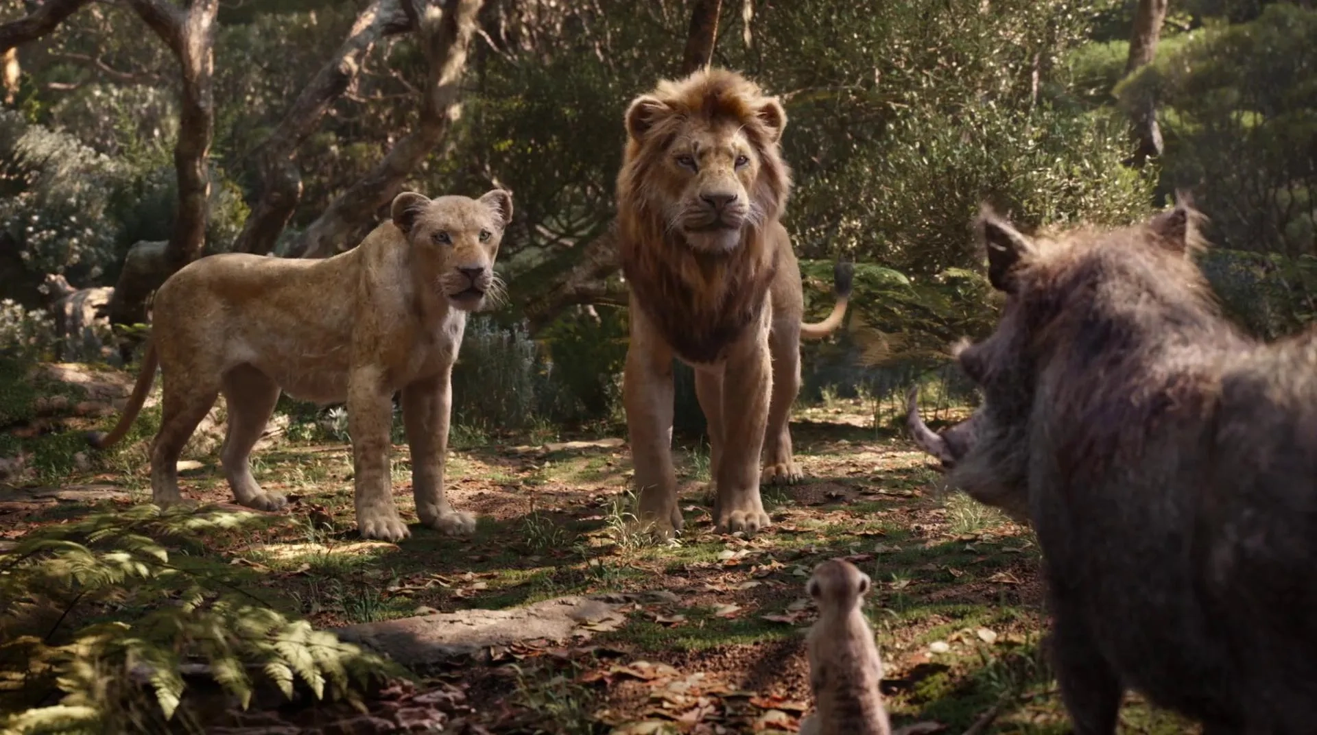 Beyoncé, Seth Rogen, Donald Glover, and Billy Eichner in The Lion King (2019)