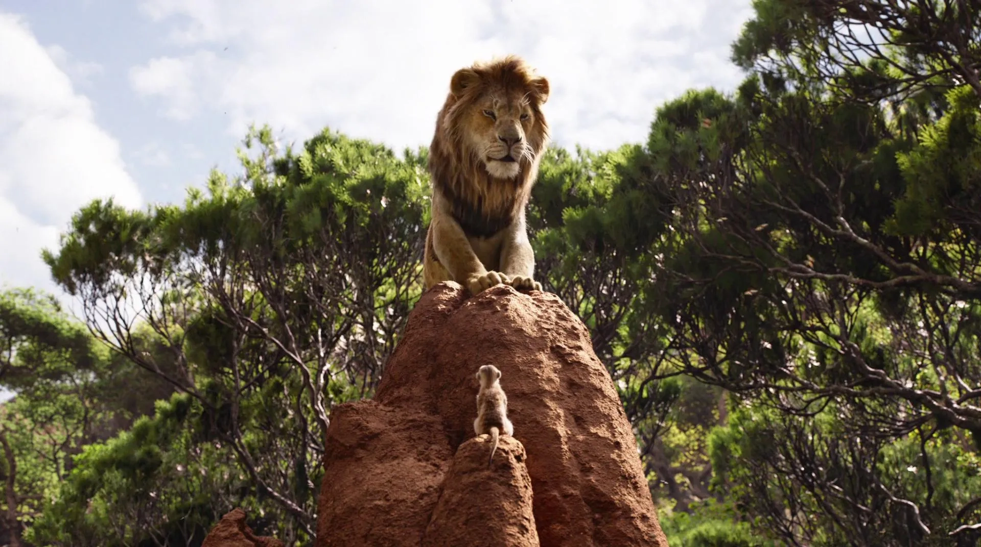 Donald Glover and Billy Eichner in The Lion King (2019)
