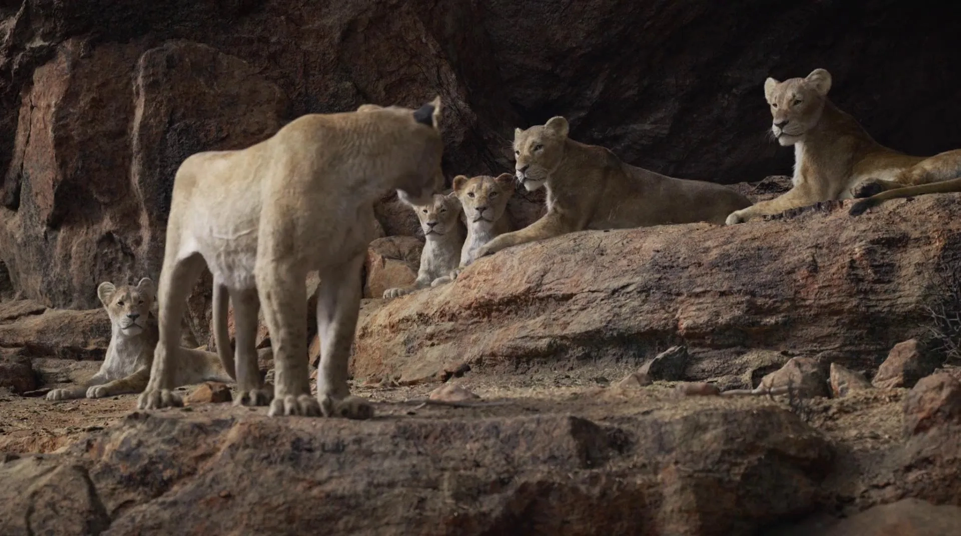 Alfre Woodard and Beyoncé in The Lion King (2019)