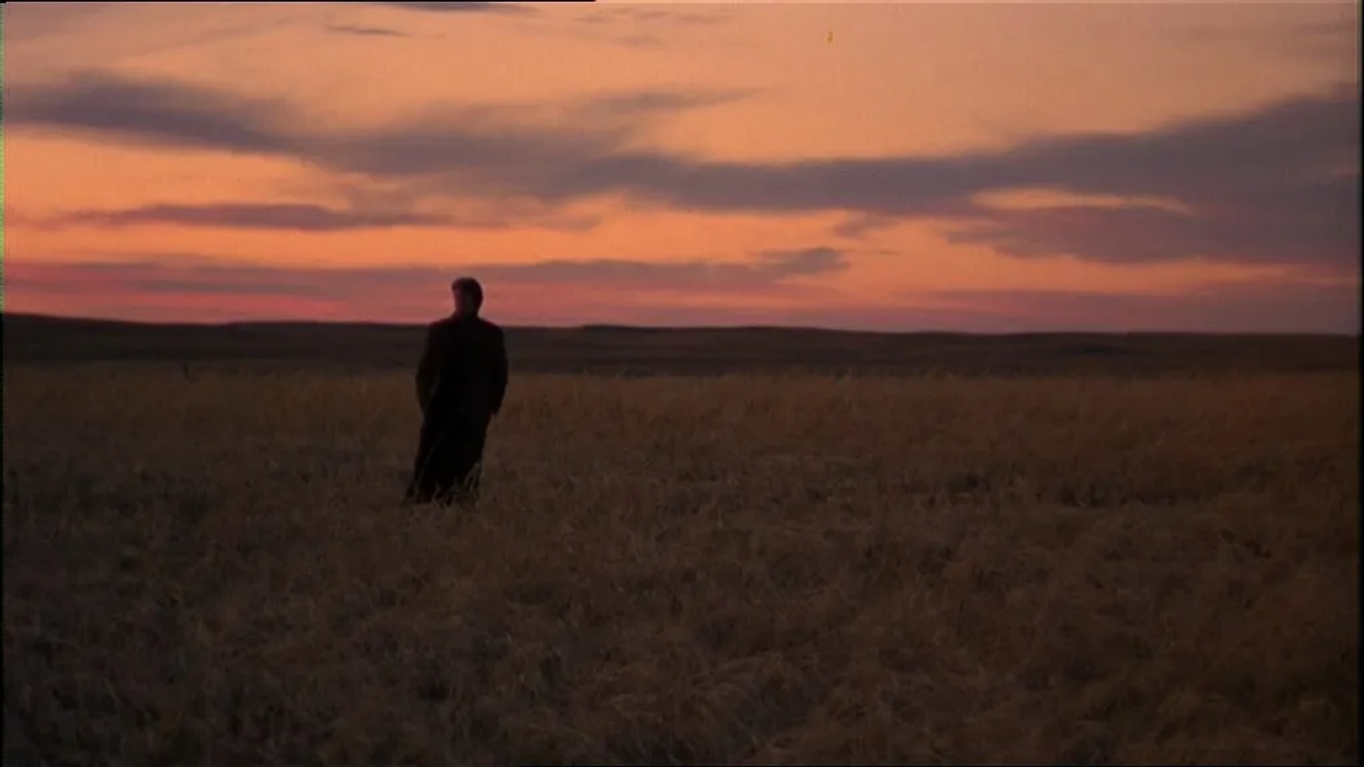 Richard Gere in Days of Heaven (1978)