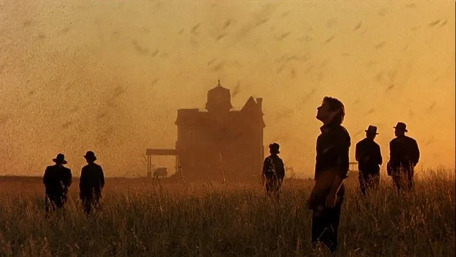 Richard Gere in Days of Heaven (1978)