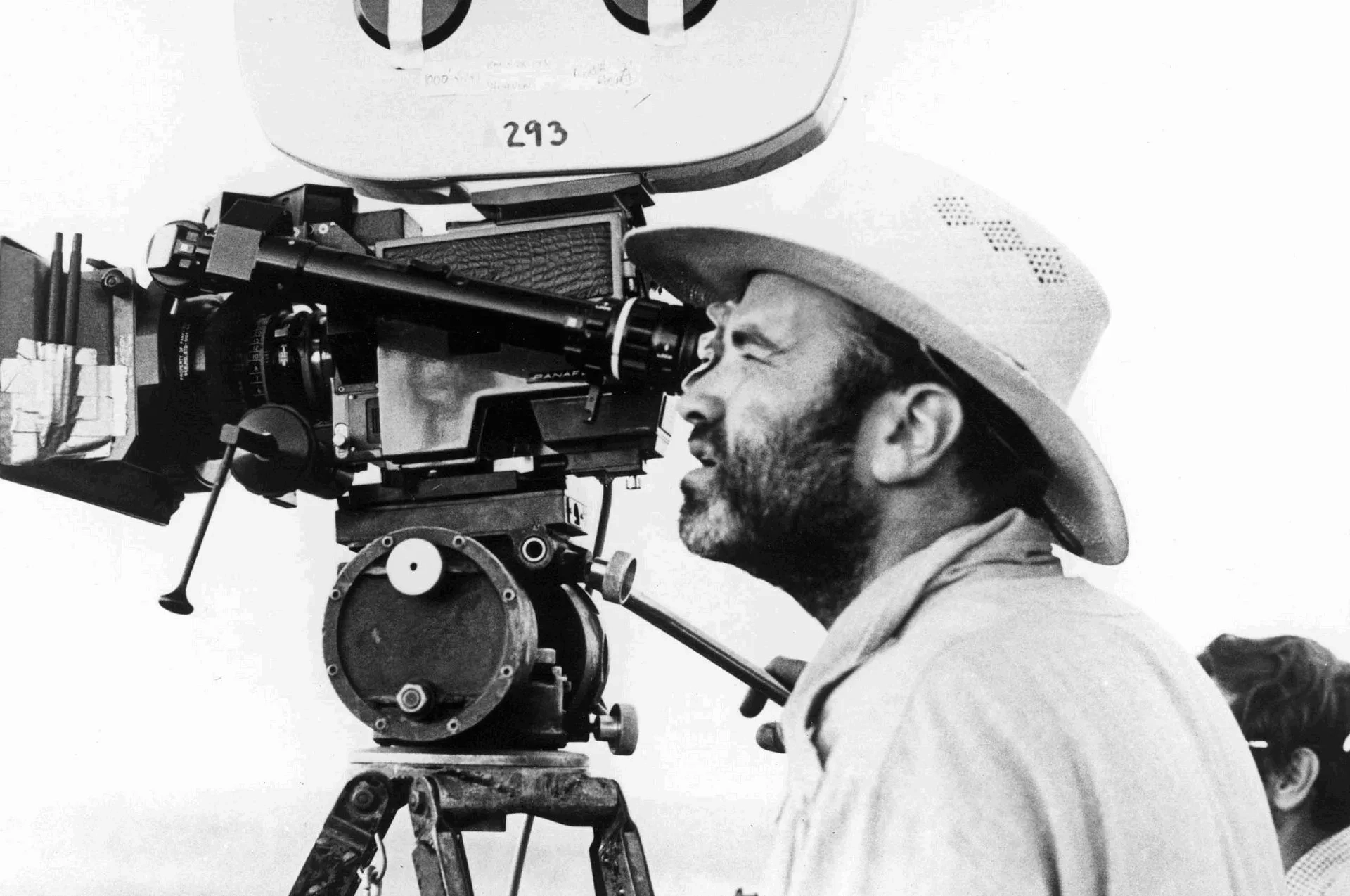 Terrence Malick in Days of Heaven (1978)