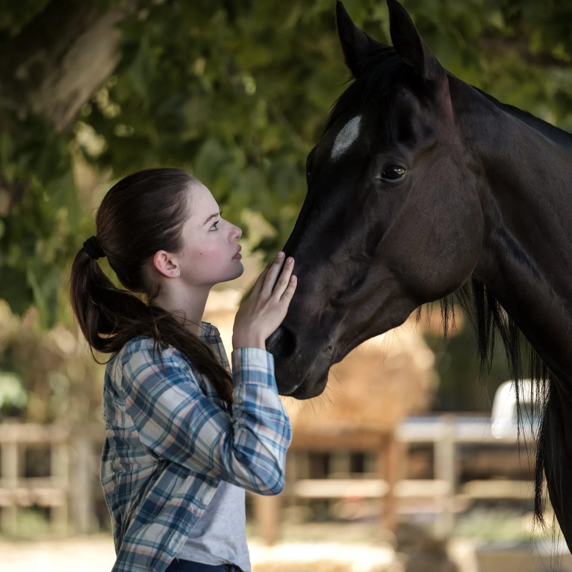 Mackenzie Foy in Black Beauty (2020)