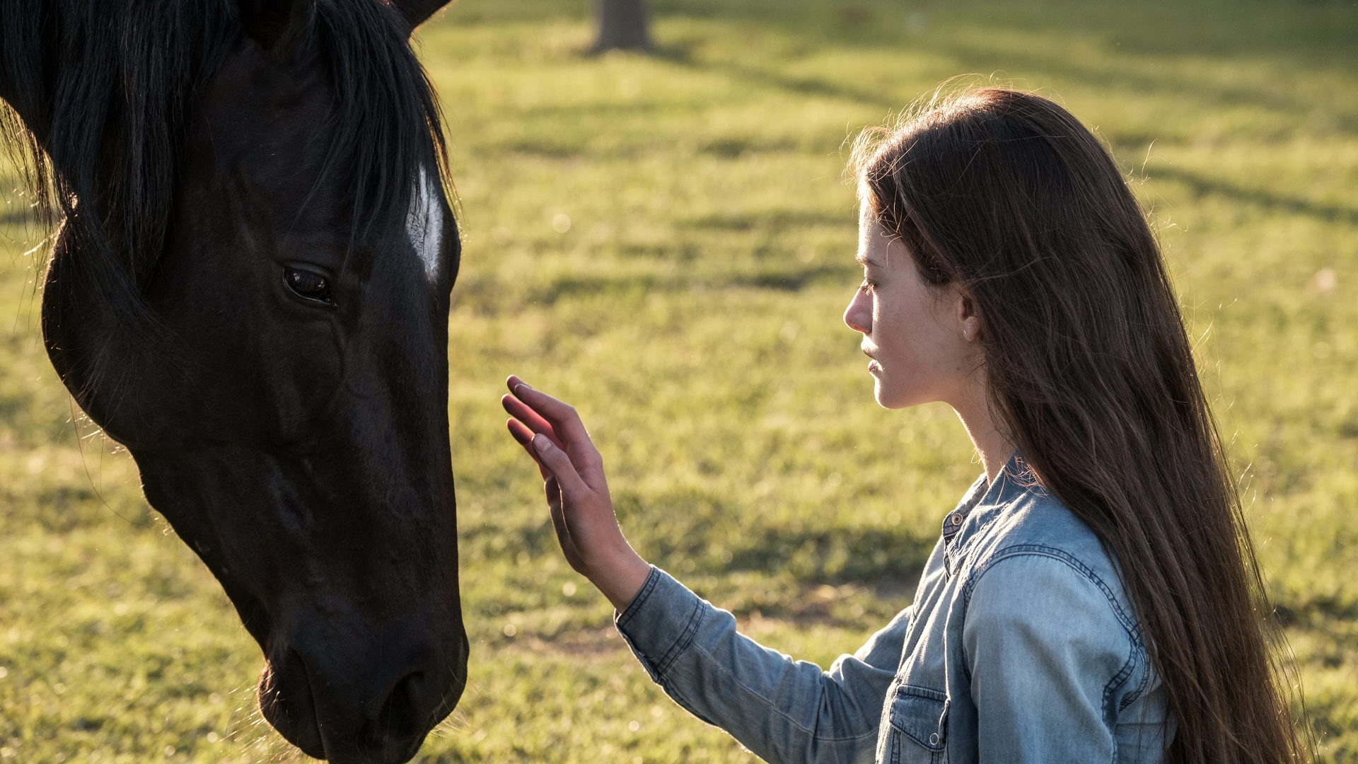 Mackenzie Foy in Black Beauty (2020)