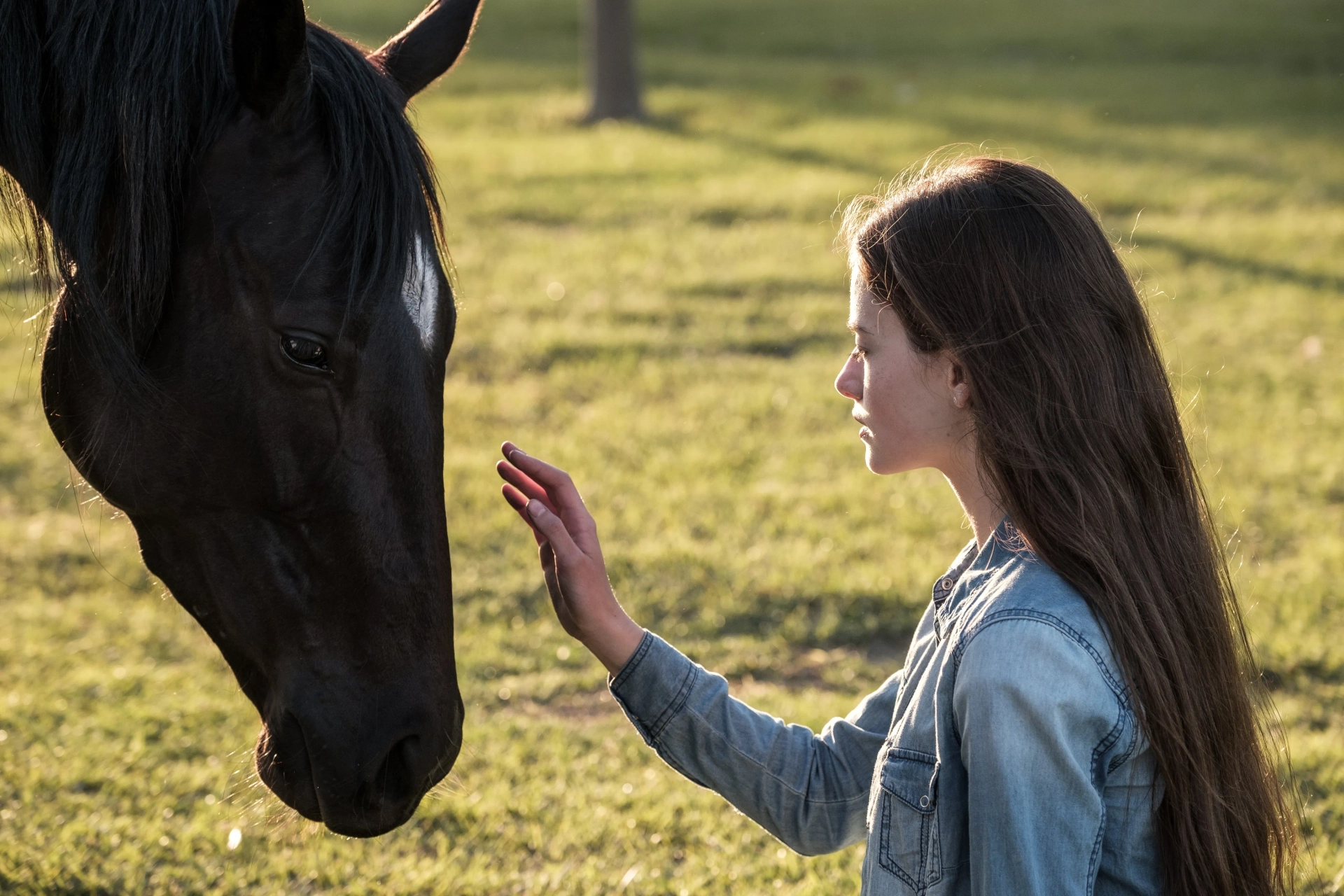 Mackenzie Foy in Black Beauty (2020)