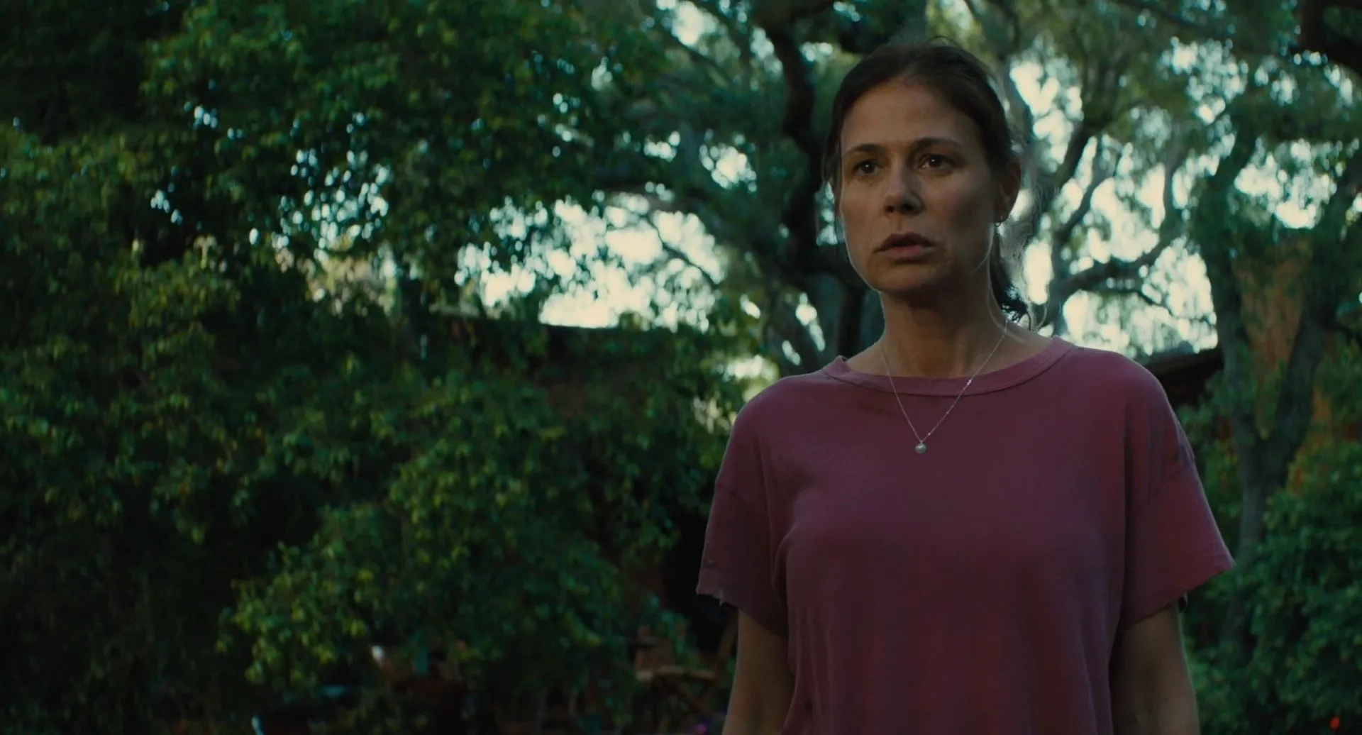 Maura Tierney in Beautiful Boy (2018)