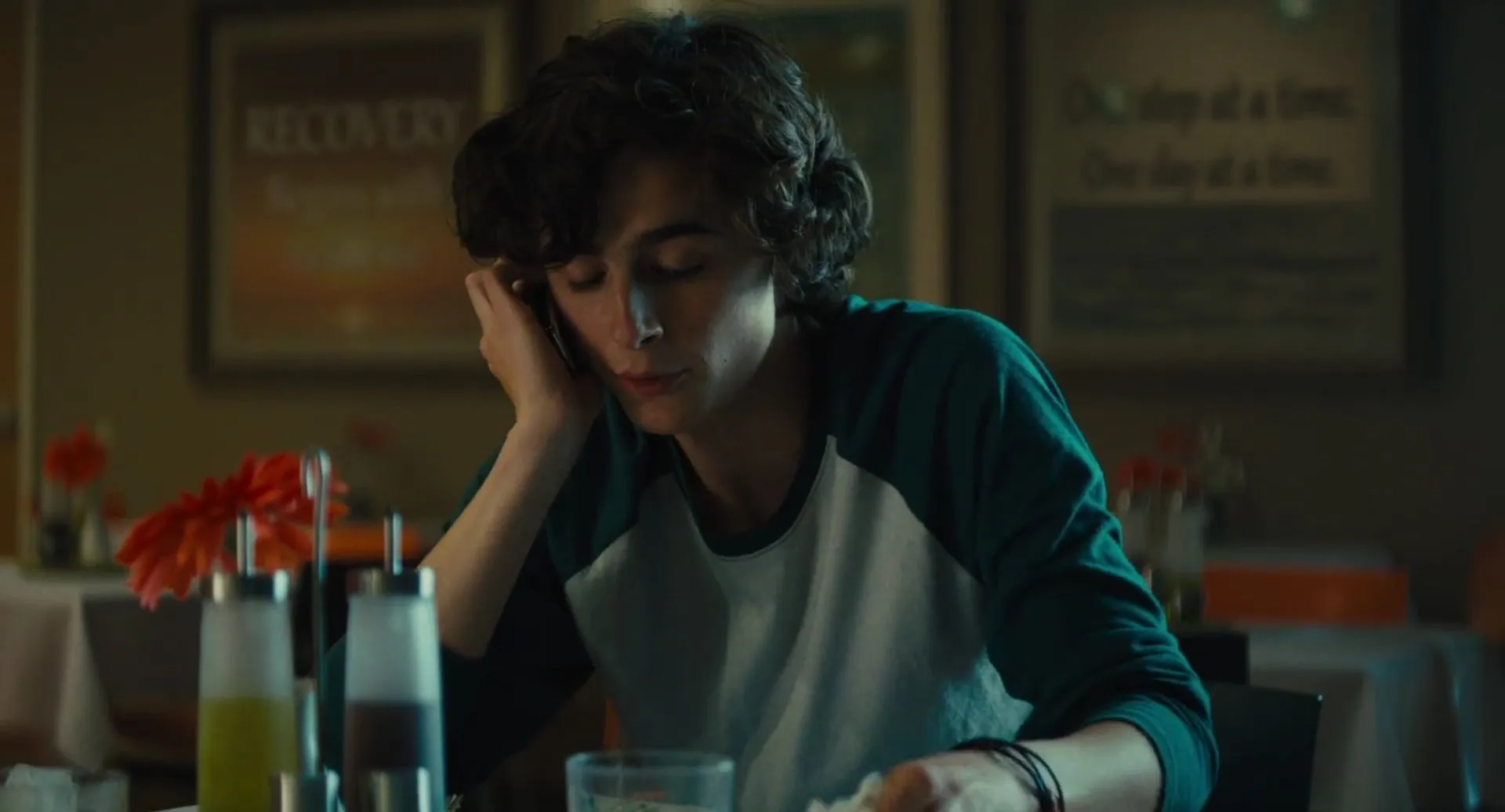 Timothée Chalamet in Beautiful Boy (2018)