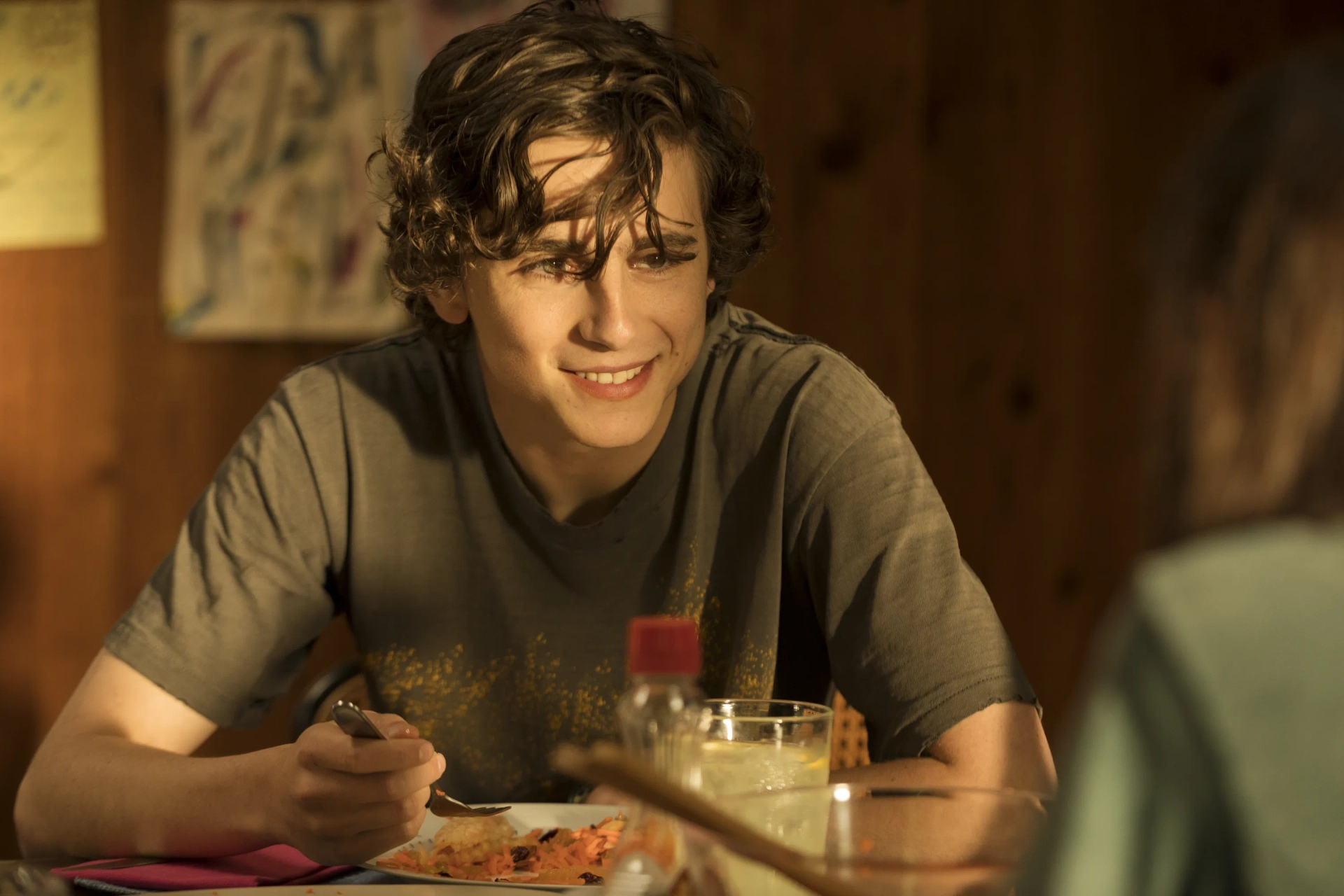 Timothée Chalamet in Beautiful Boy (2018)