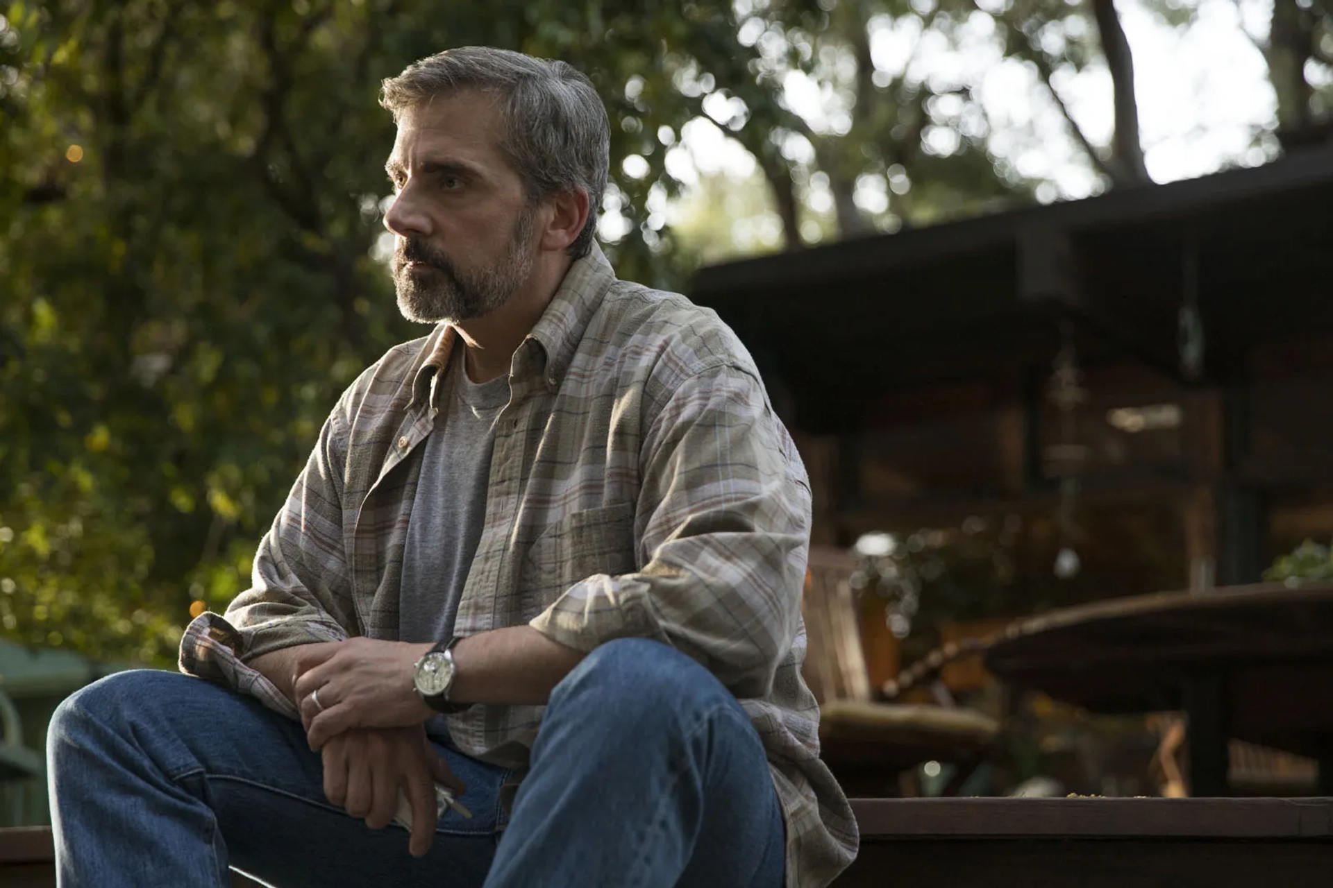 Steve Carell in Beautiful Boy (2018)