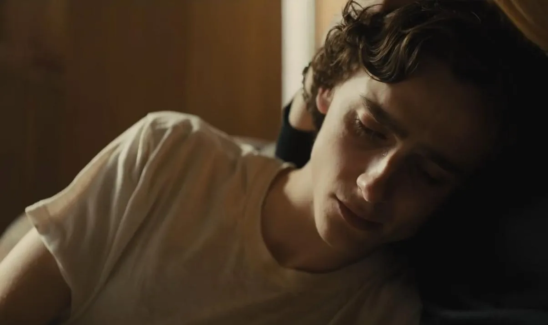 Timothée Chalamet in Beautiful Boy (2018)