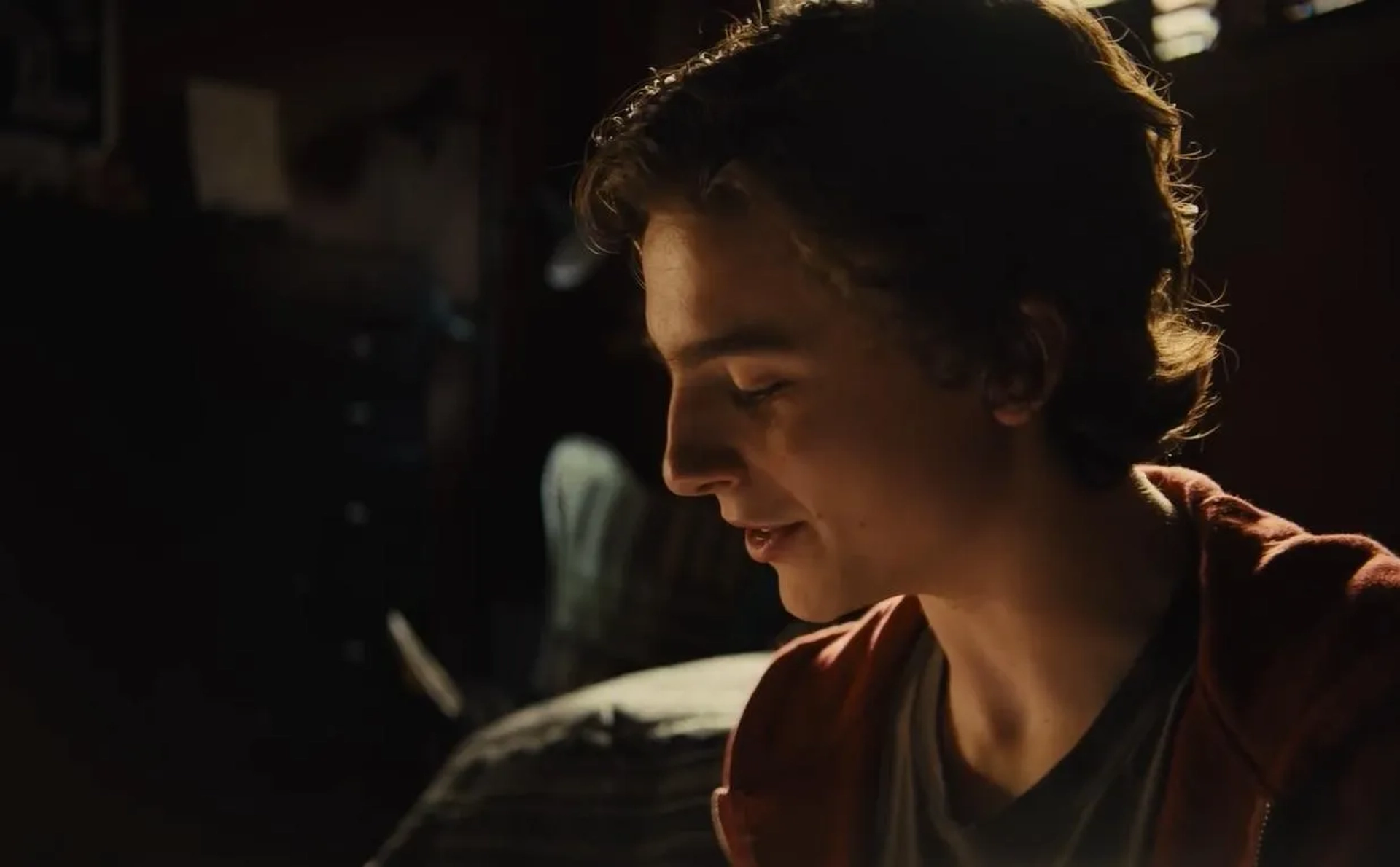 Timothée Chalamet in Beautiful Boy (2018)