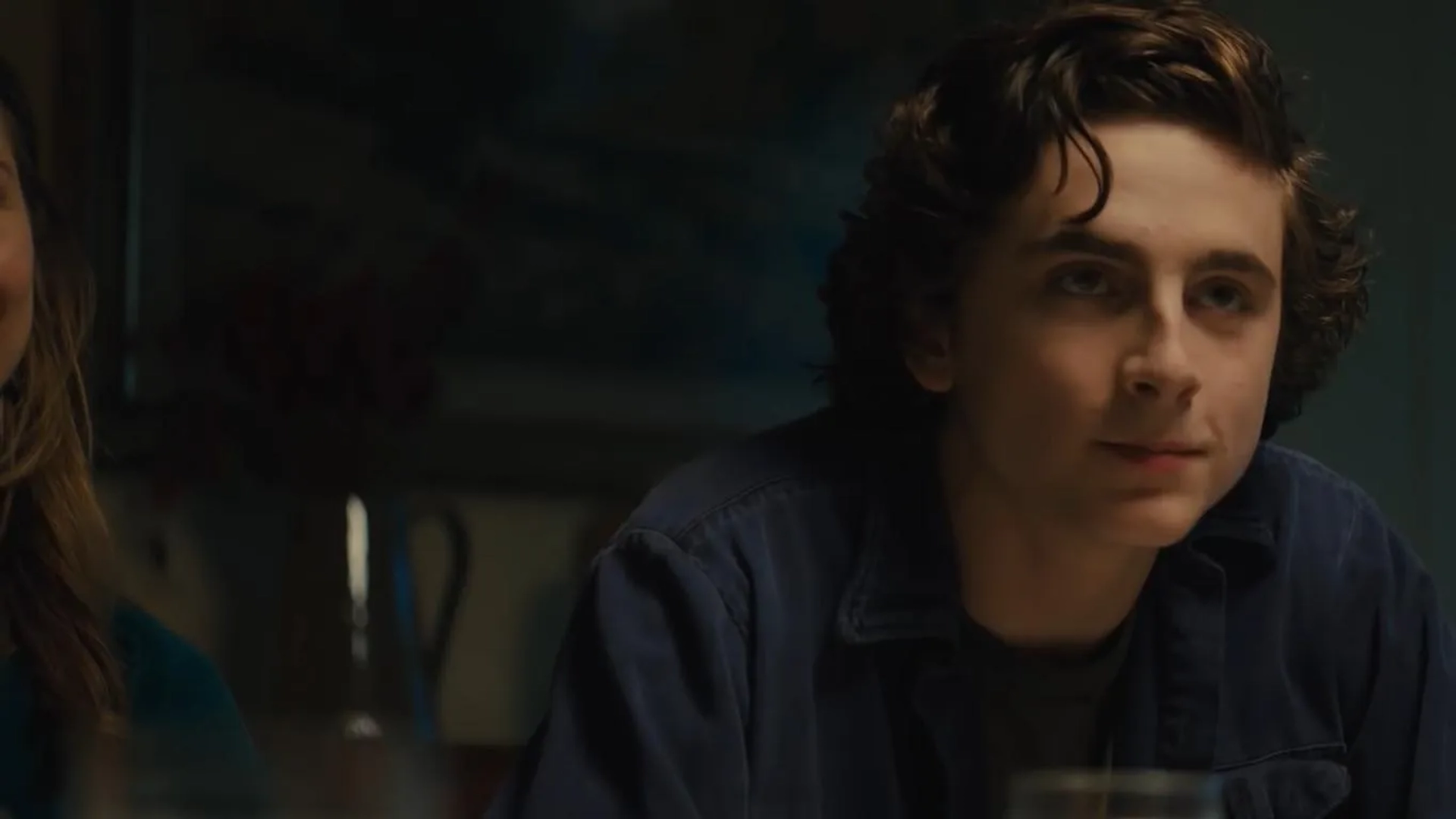 Timothée Chalamet in Beautiful Boy (2018)