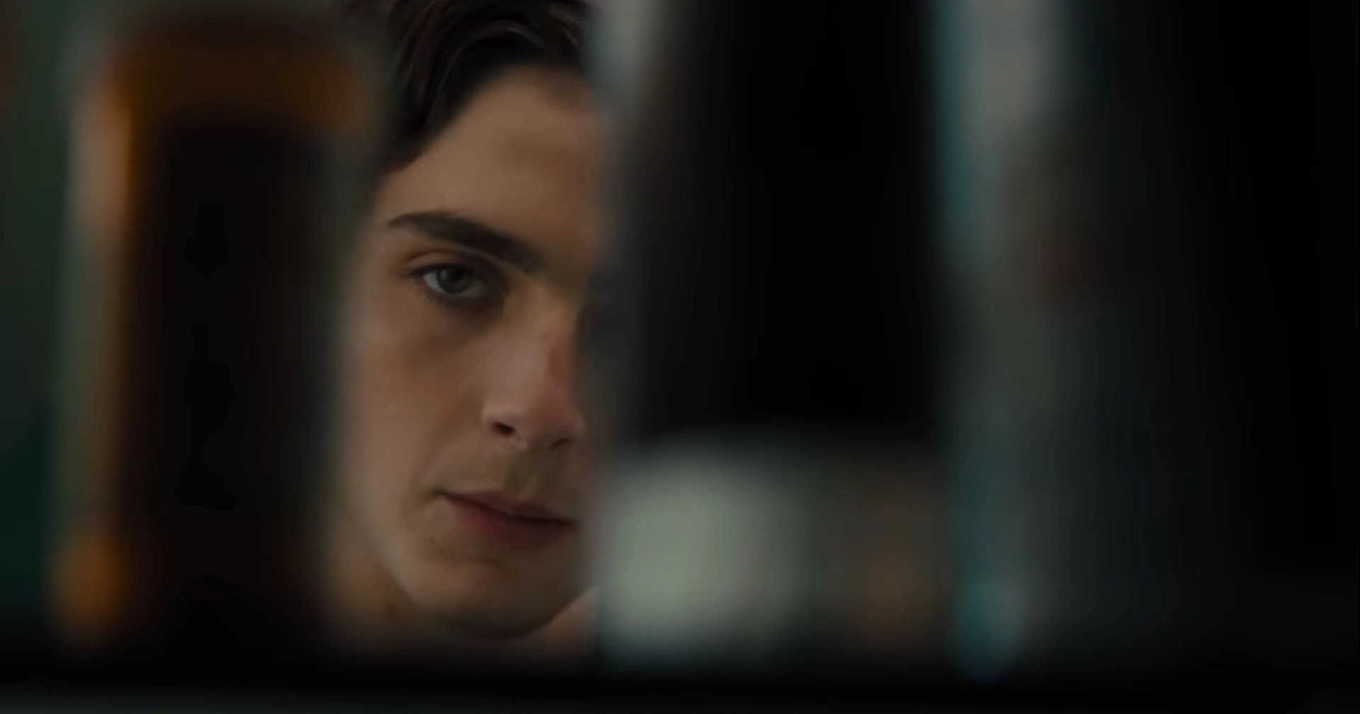 Timothée Chalamet in Beautiful Boy (2018)