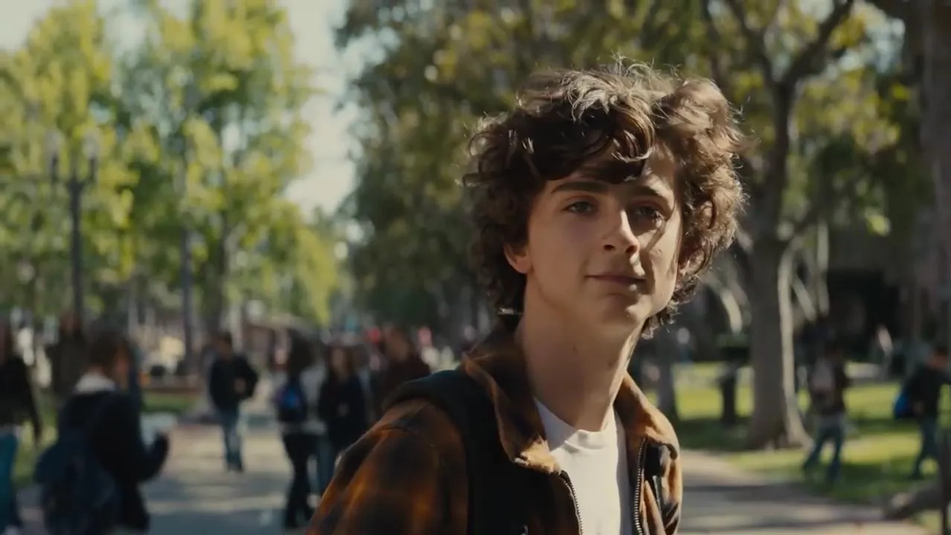 Timothée Chalamet in Beautiful Boy (2018)