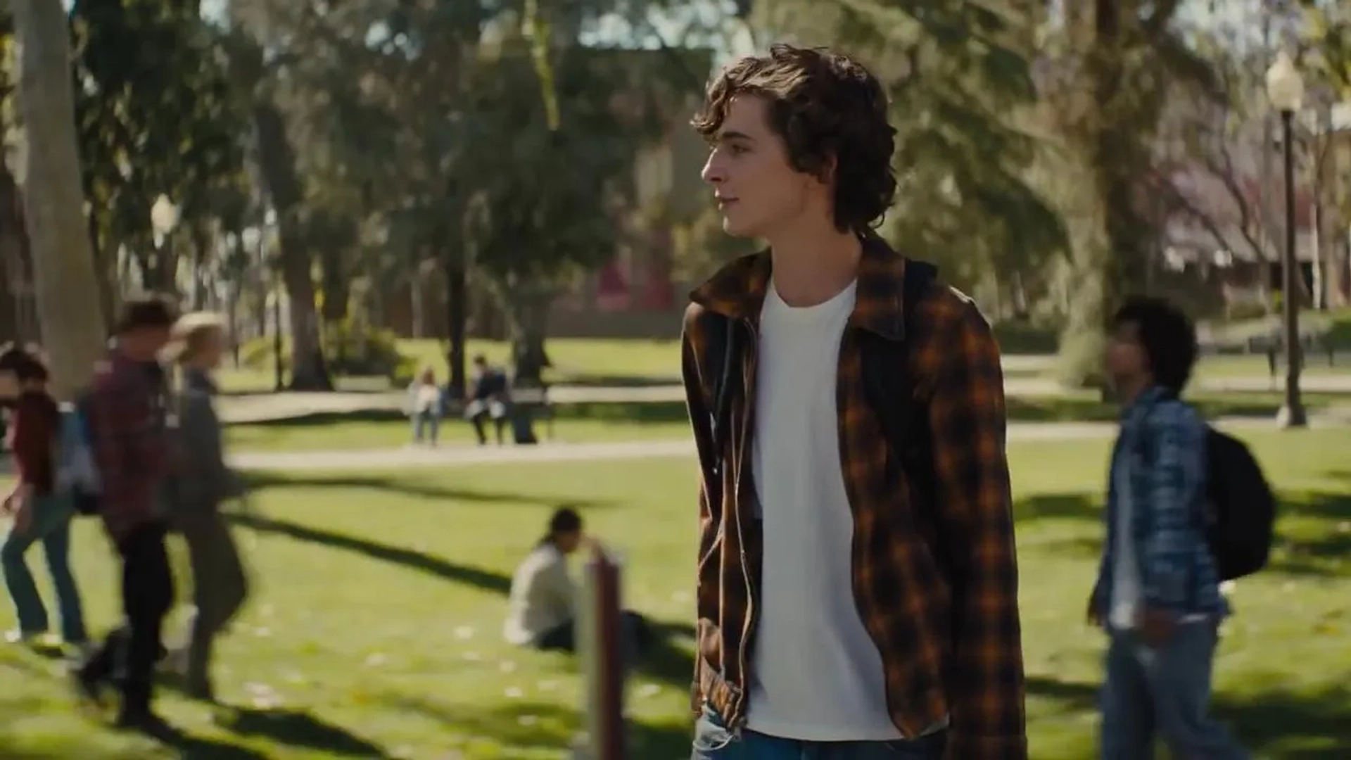 Timothée Chalamet in Beautiful Boy (2018)