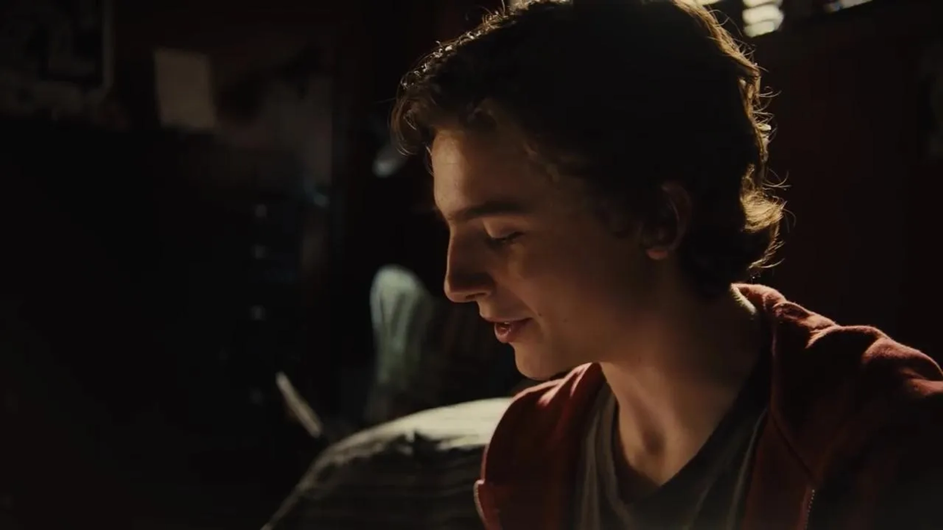 Timothée Chalamet in Beautiful Boy (2018)