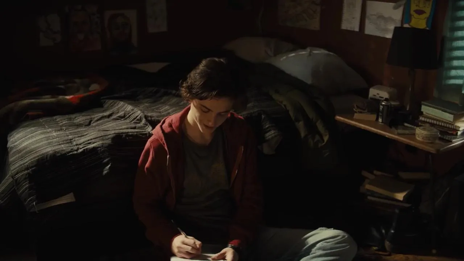 Timothée Chalamet in Beautiful Boy (2018)