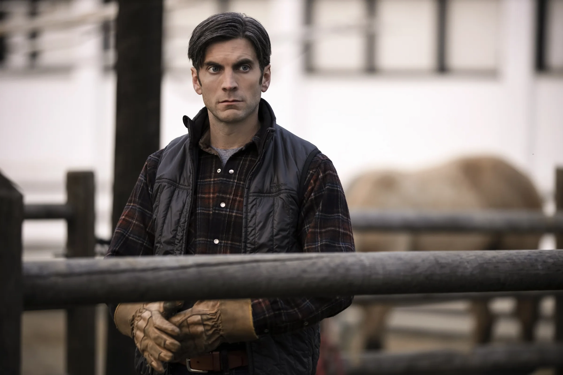 Wes Bentley in Yellowstone (2018)