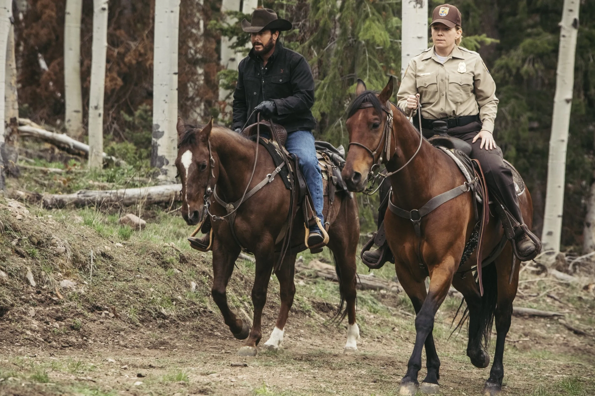 Cole Hauser and Heidi Sulzman in Yellowstone (2018)