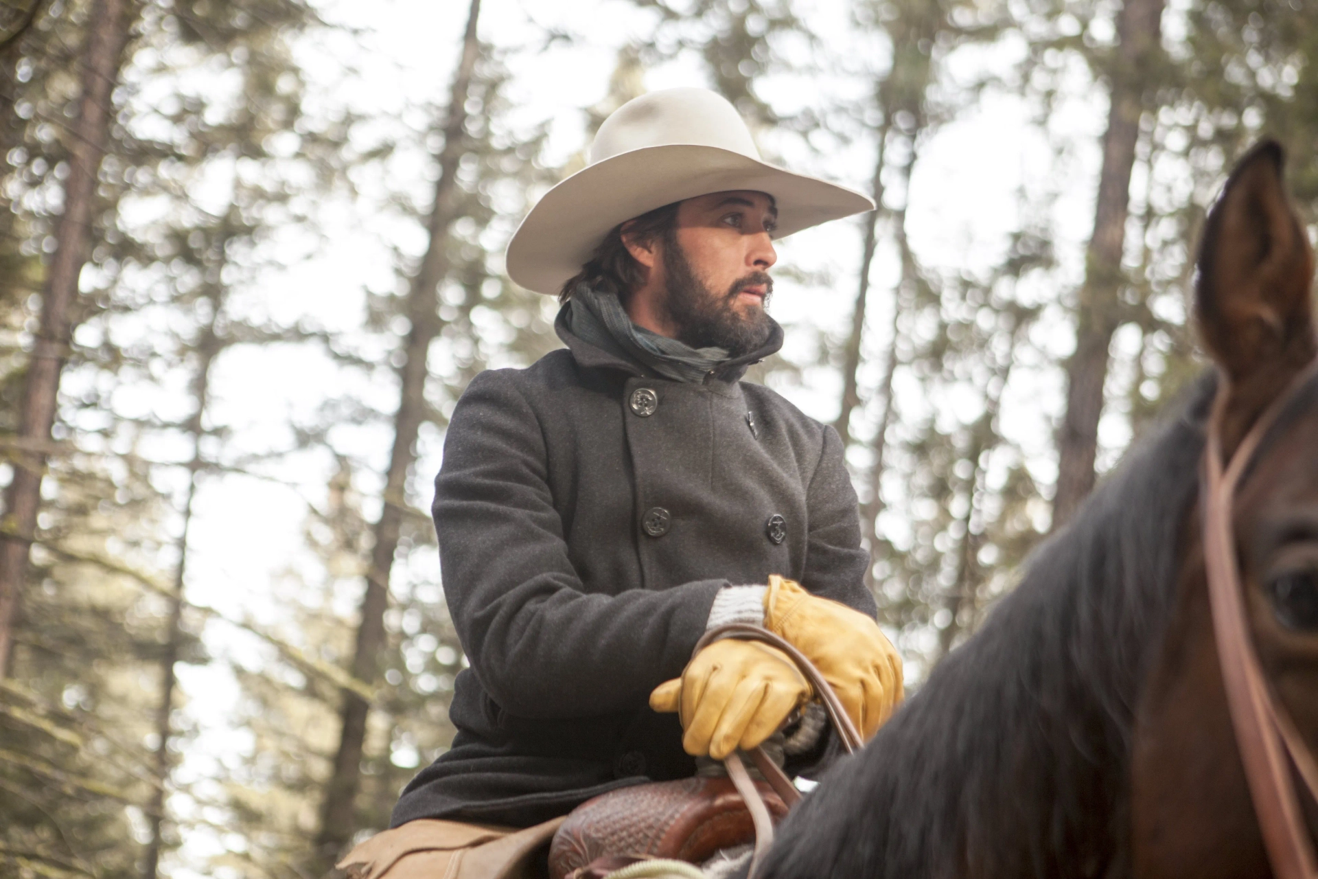 Ryan Bingham in Yellowstone (2018)