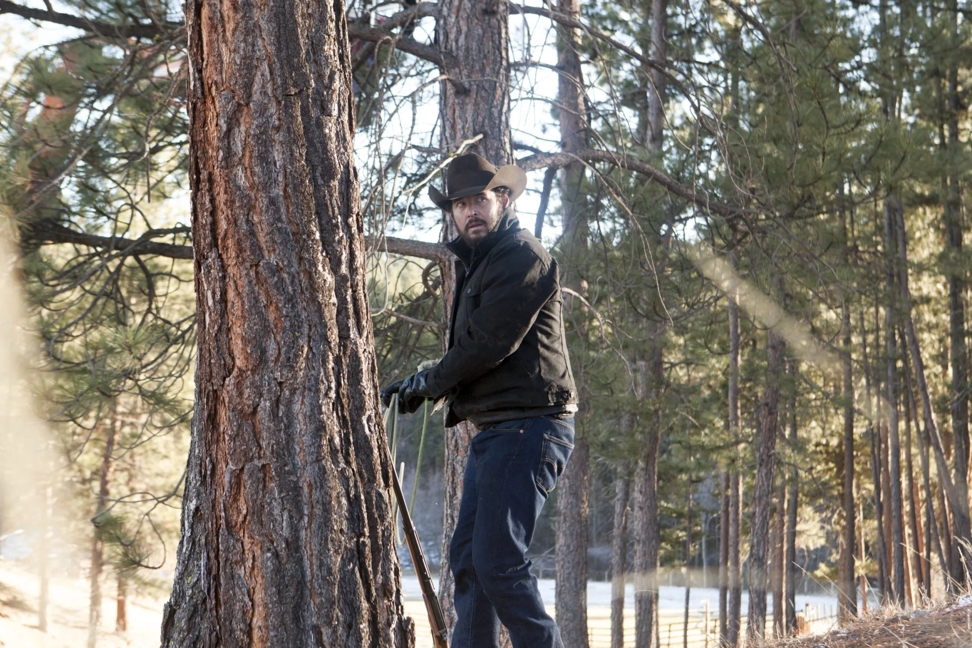 Cole Hauser in Yellowstone (2018)