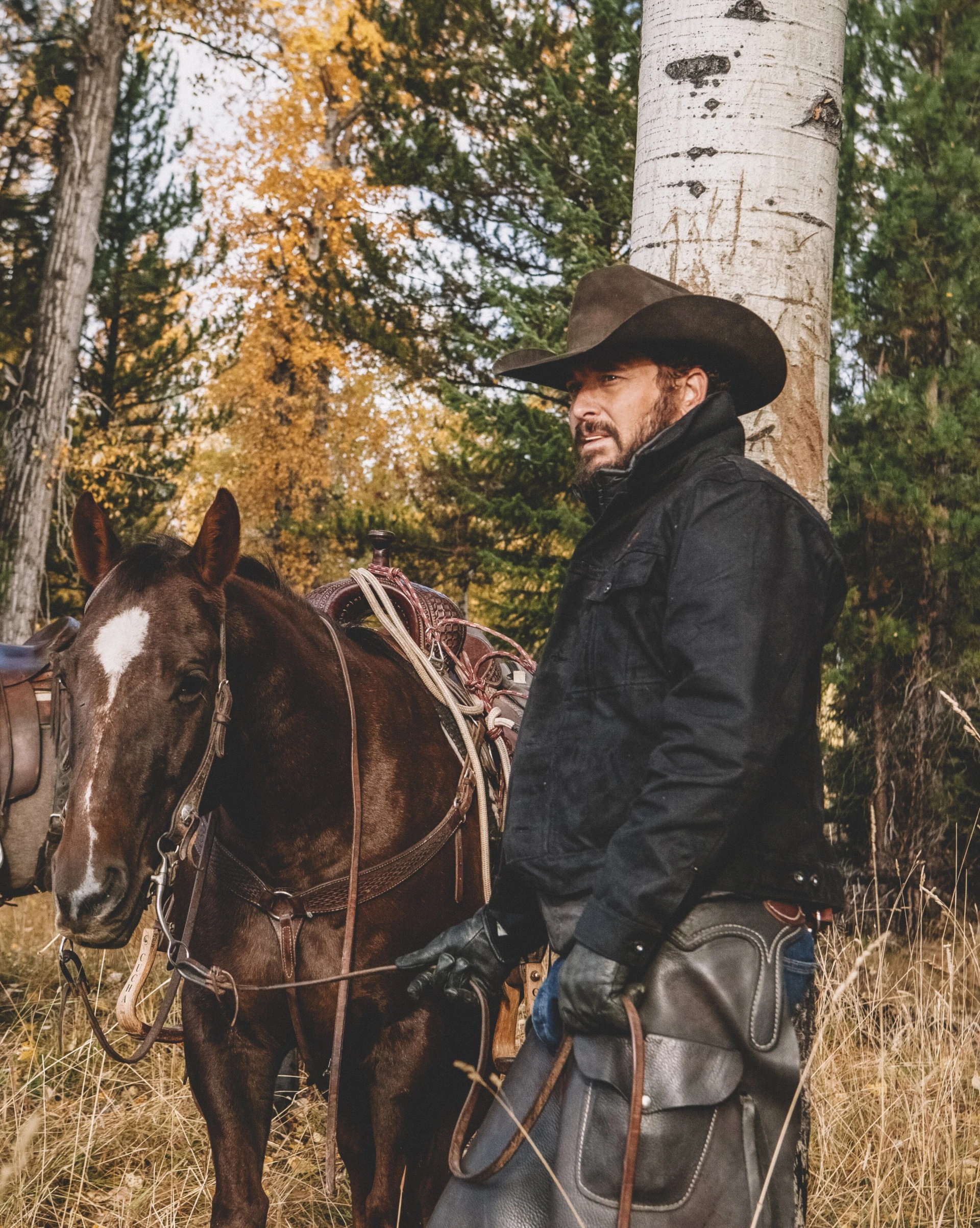 Cole Hauser in Yellowstone (2018)