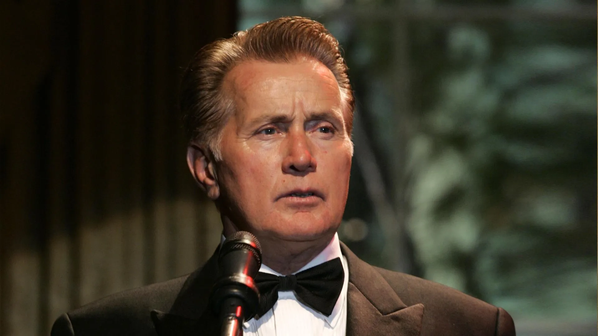 Martin Sheen in The West Wing (1999)