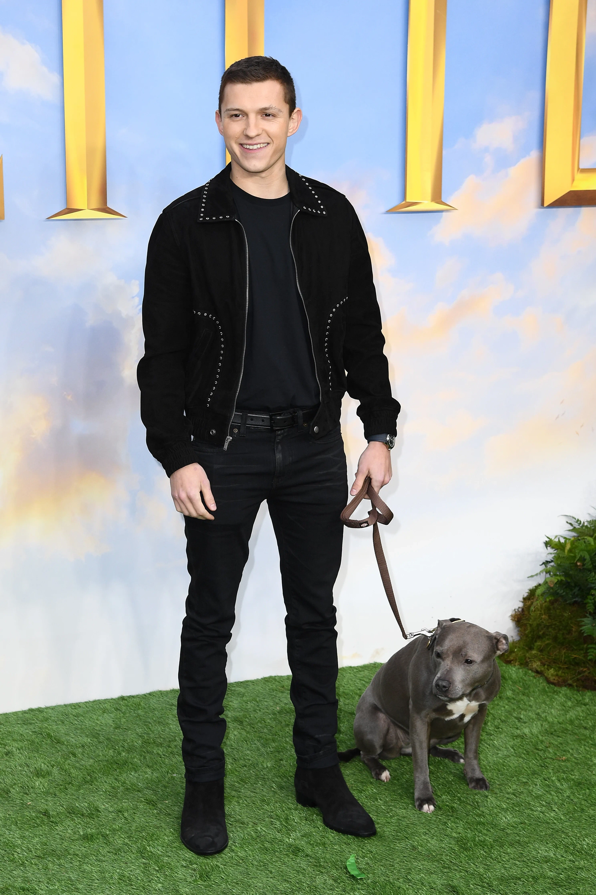 Tom Holland at an event for Dolittle (2020)