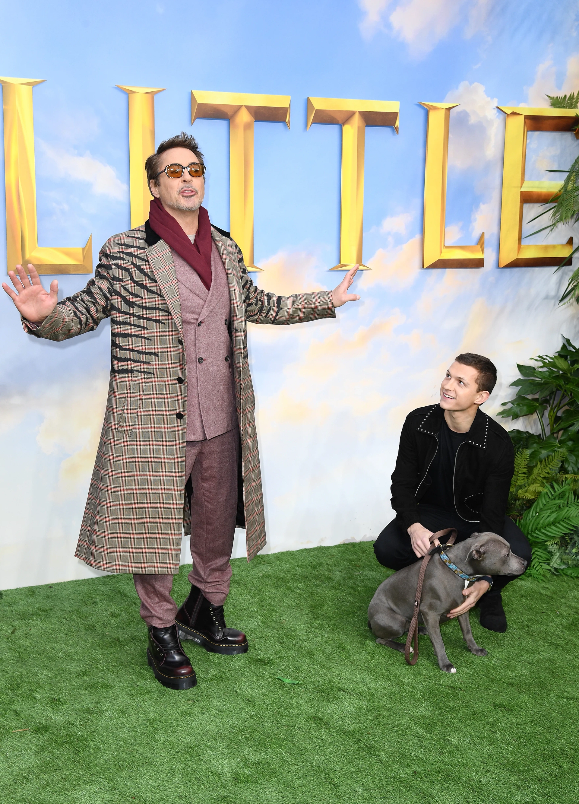 Robert Downey Jr. and Tom Holland at an event for Dolittle (2020)
