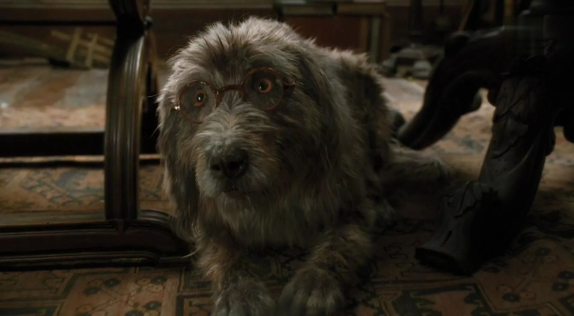 Tom Holland in Dolittle (2020)