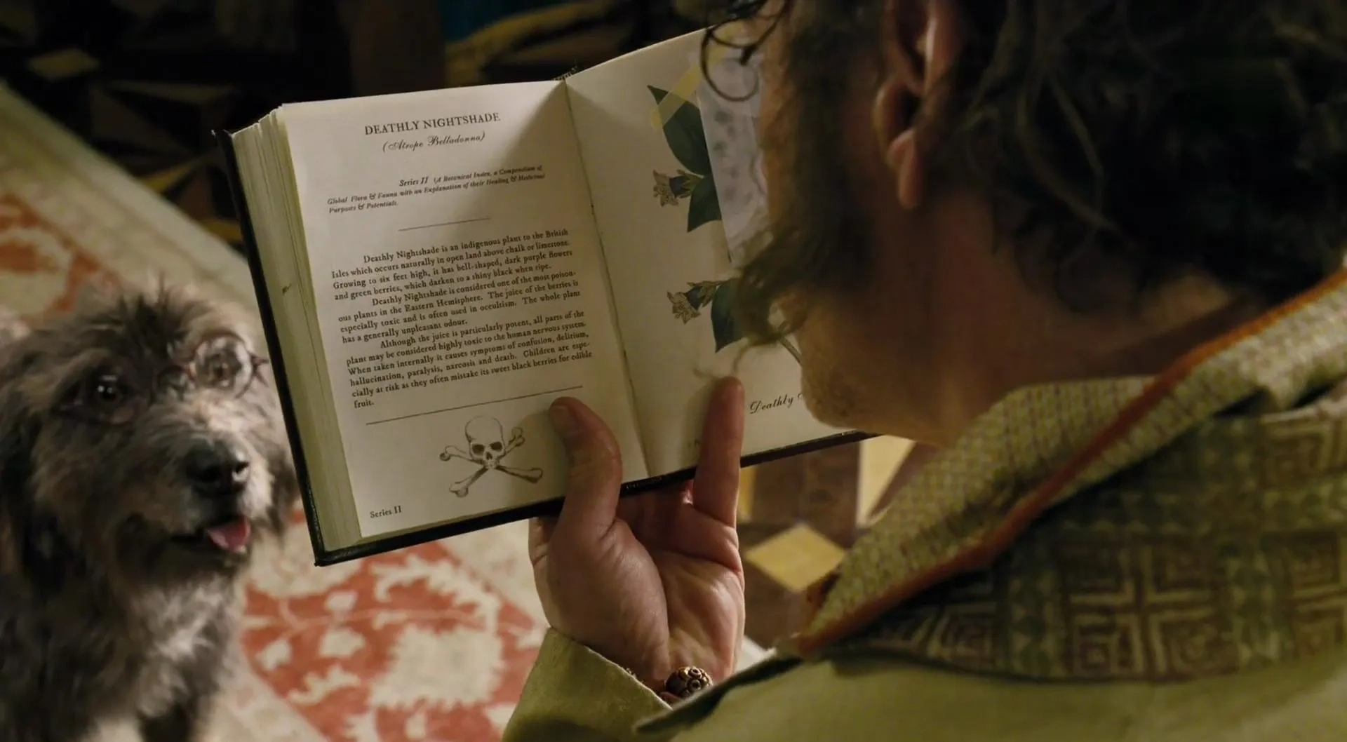 Robert Downey Jr. and Tom Holland in Dolittle (2020)