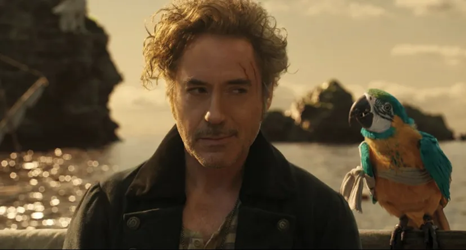 Robert Downey Jr. in Dolittle (2020)