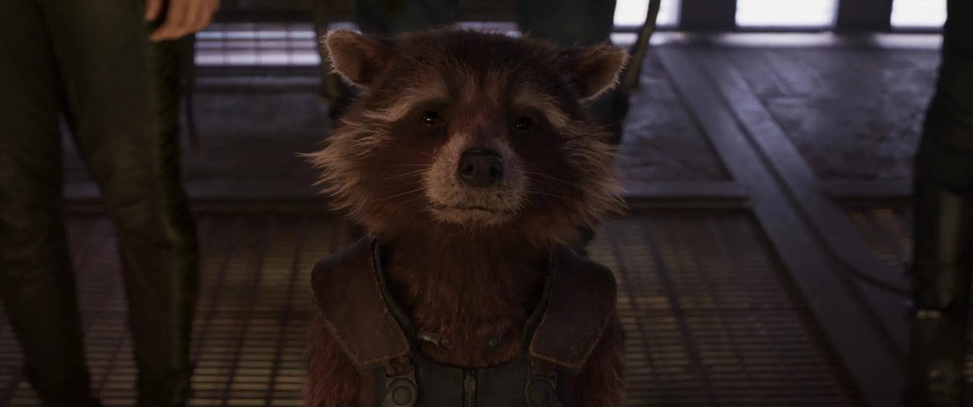 Bradley Cooper in Guardians of the Galaxy Vol. 2 (2017)