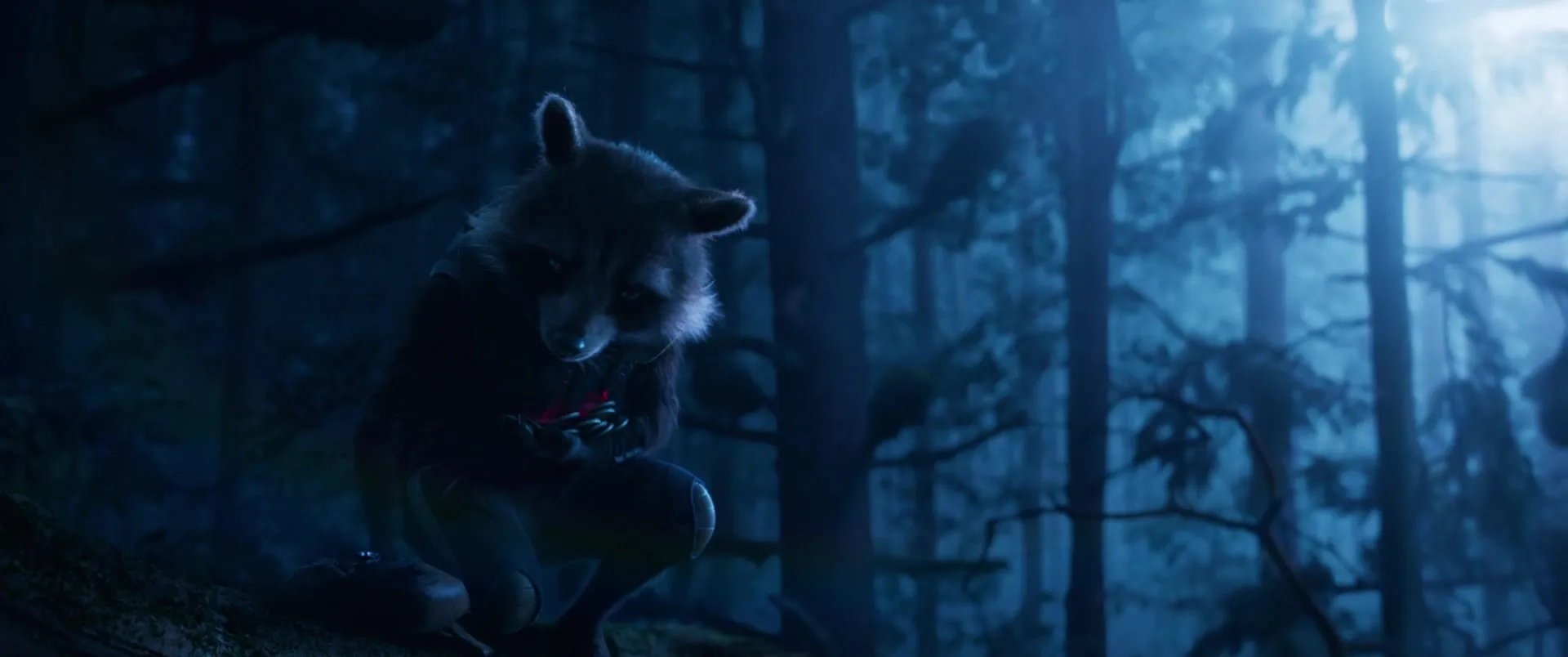 Bradley Cooper in Guardians of the Galaxy Vol. 2 (2017)