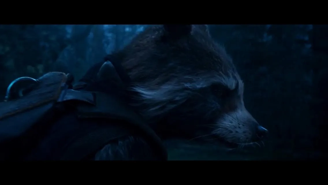 Bradley Cooper in Guardians of the Galaxy Vol. 2 (2017)