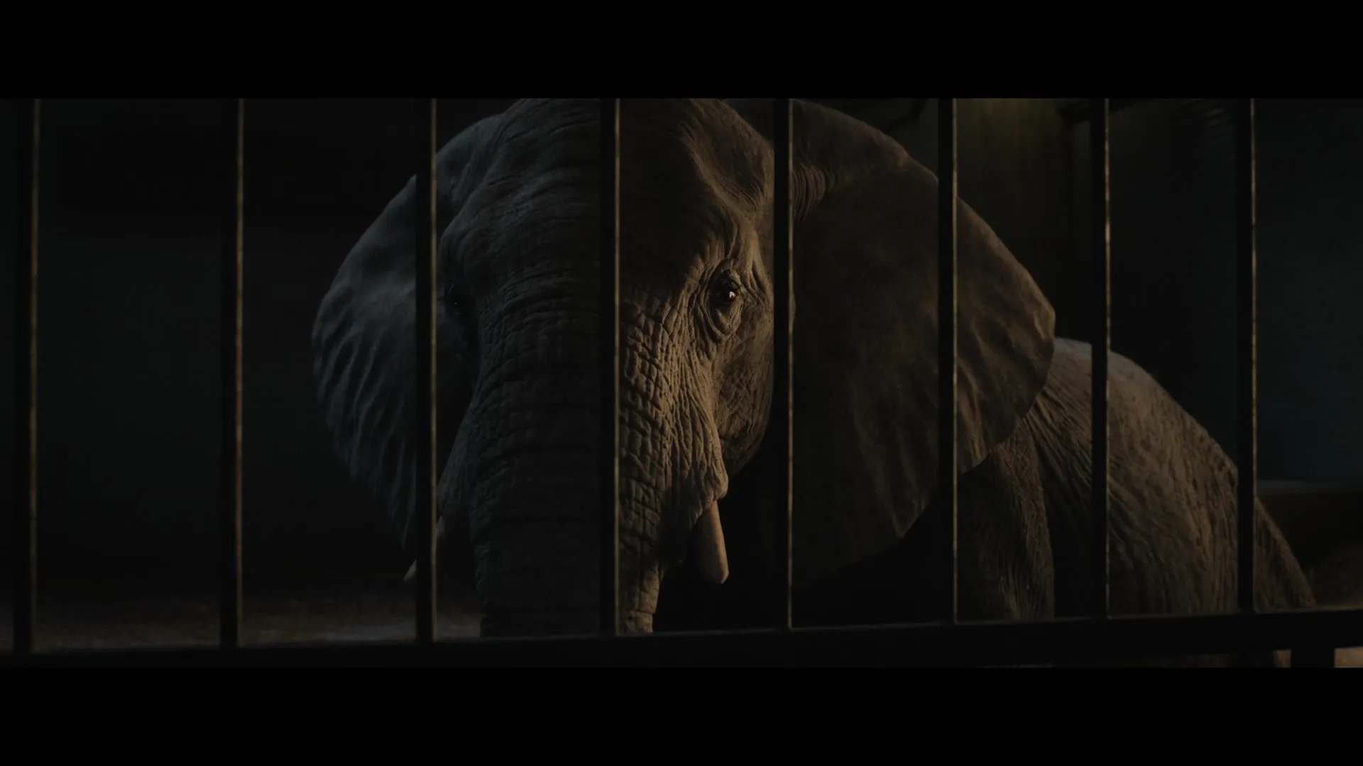 Angelina Jolie in The One and Only Ivan (2020)