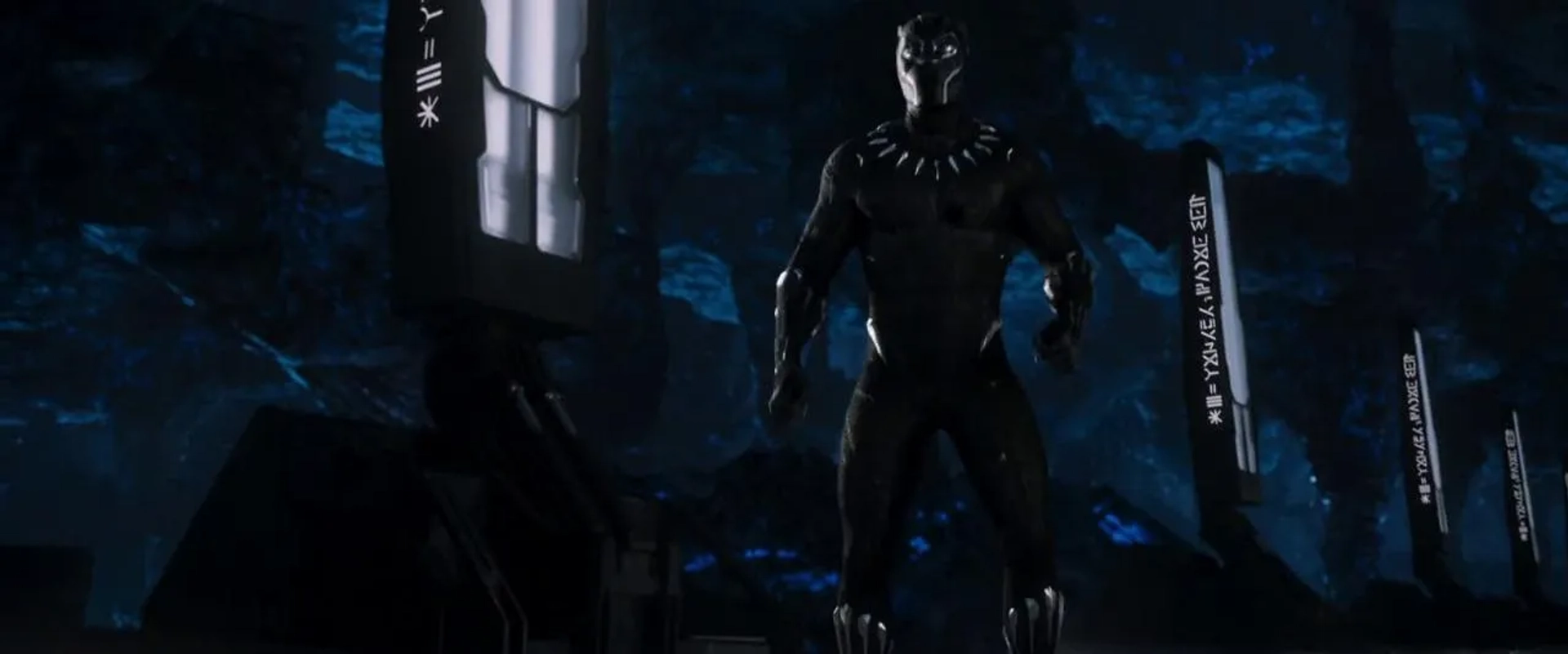 Chadwick Boseman in Black Panther (2018)