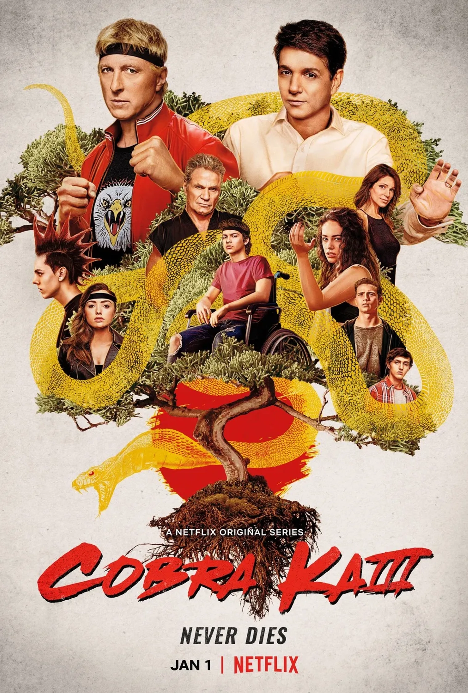 Ralph Macchio, Martin Kove, William Zabka, Courtney Henggeler, Mary Mouser, Peyton List, Jacob Bertrand, Tanner Buchanan, Gianni DeCenzo, and Xolo Maridueña in Cobra Kai (2018)