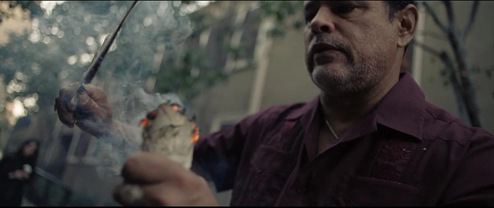 Raymond Cruz in The Curse of La Llorona (2019)