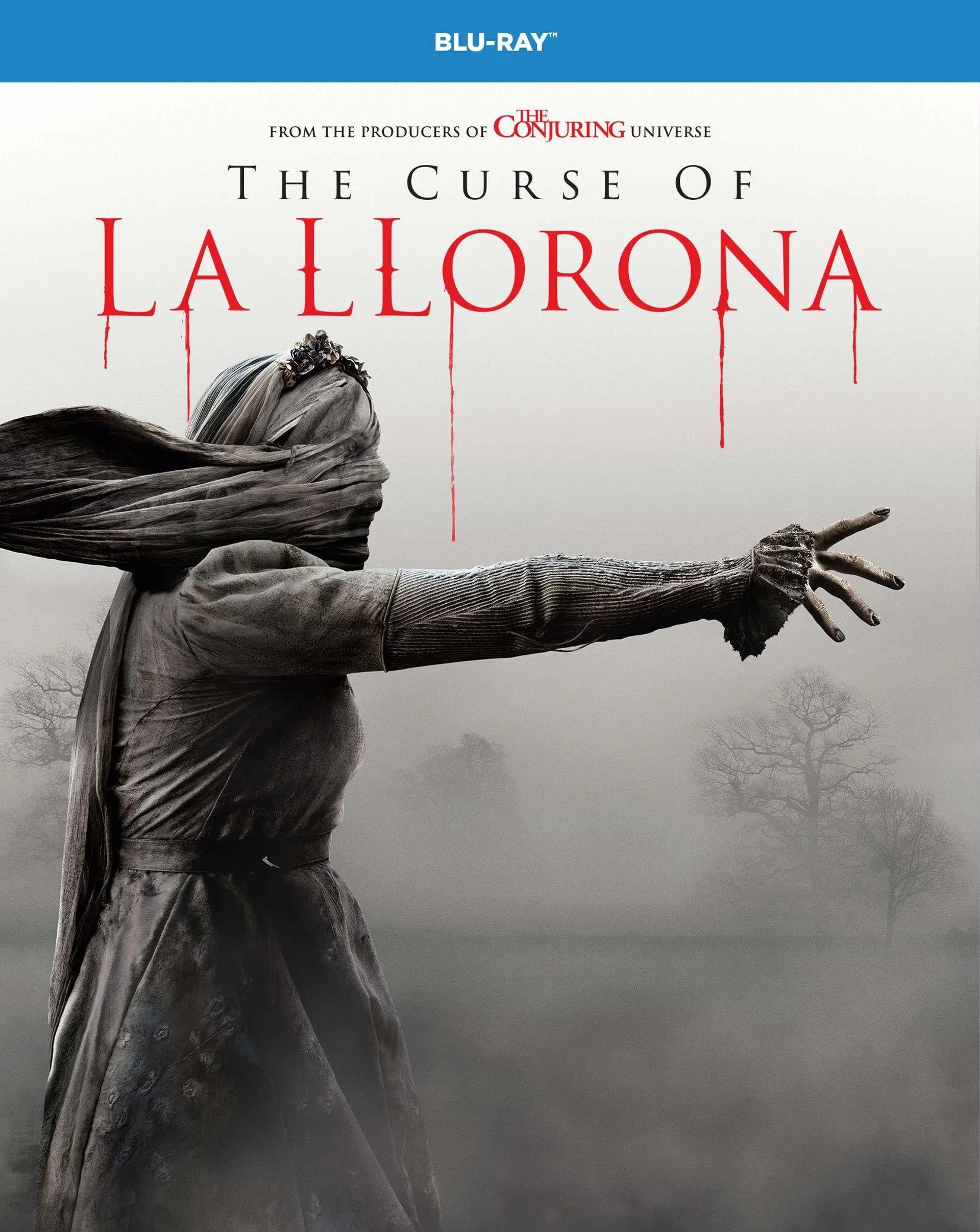 Marisol Ramirez in The Curse of La Llorona (2019)