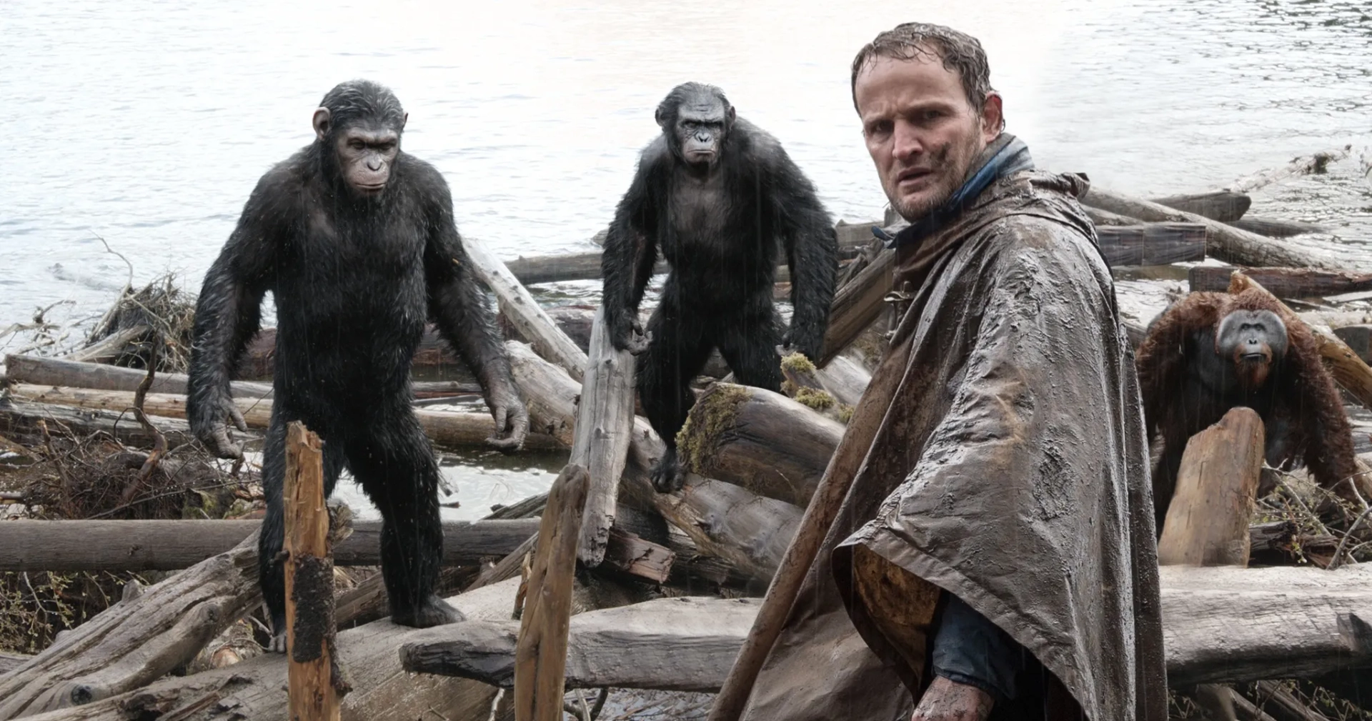 Jason Clarke, Karin Konoval, Andy Serkis, and Toby Kebbell in Dawn of the Planet of the Apes (2014)