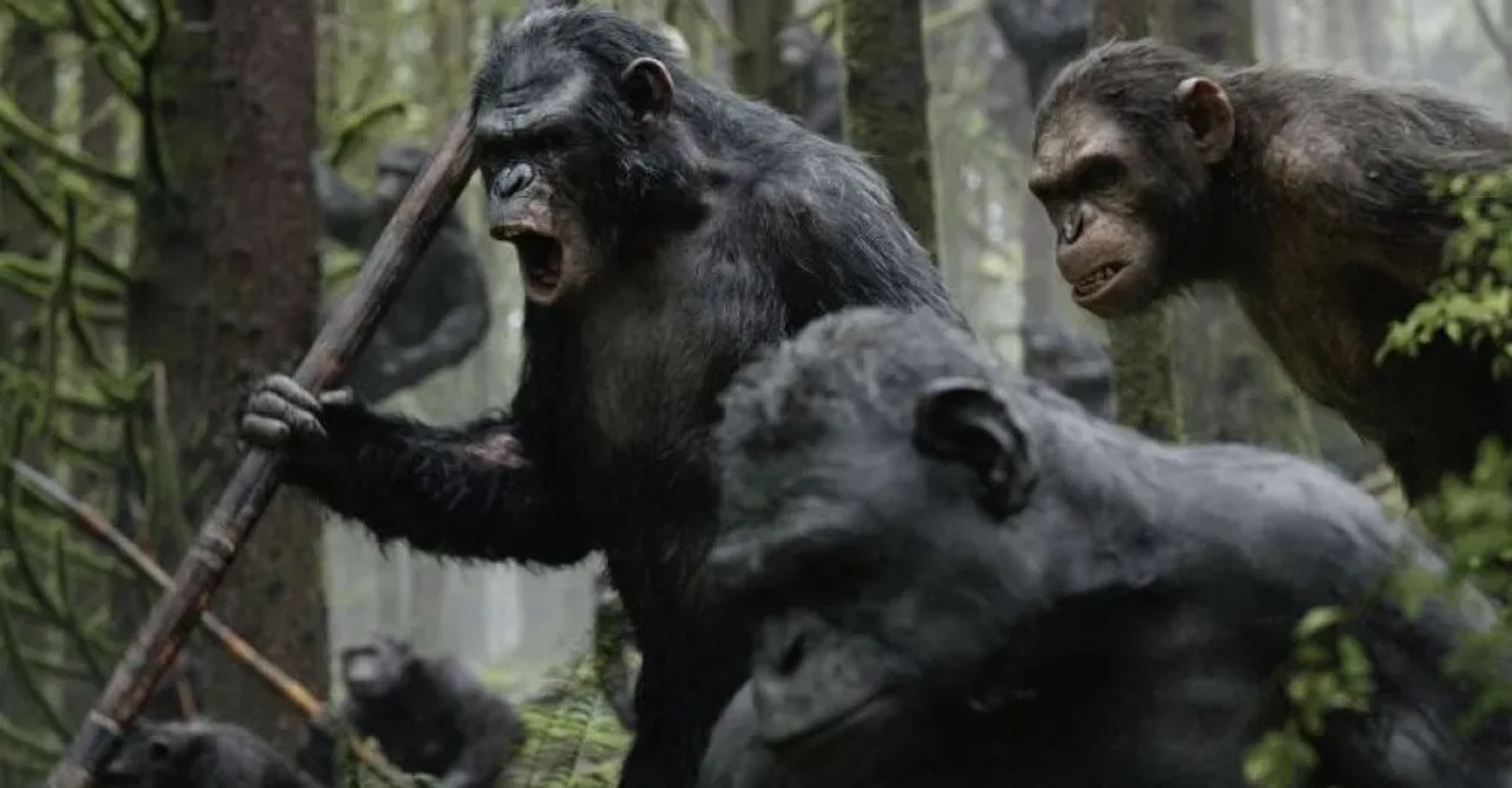 Lee Ross, Toby Kebbell, and Richard King in Dawn of the Planet of the Apes (2014)