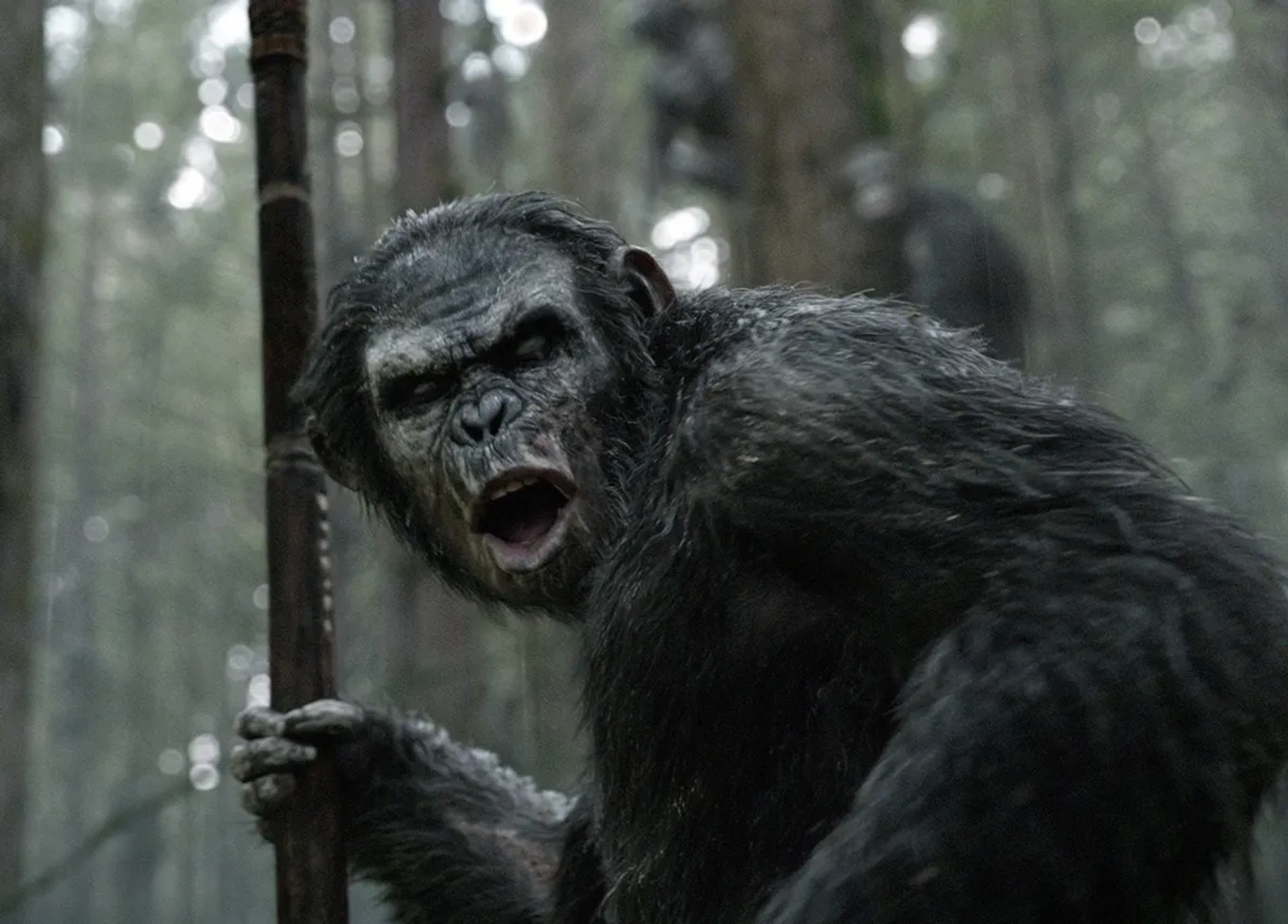 Toby Kebbell in Dawn of the Planet of the Apes (2014)