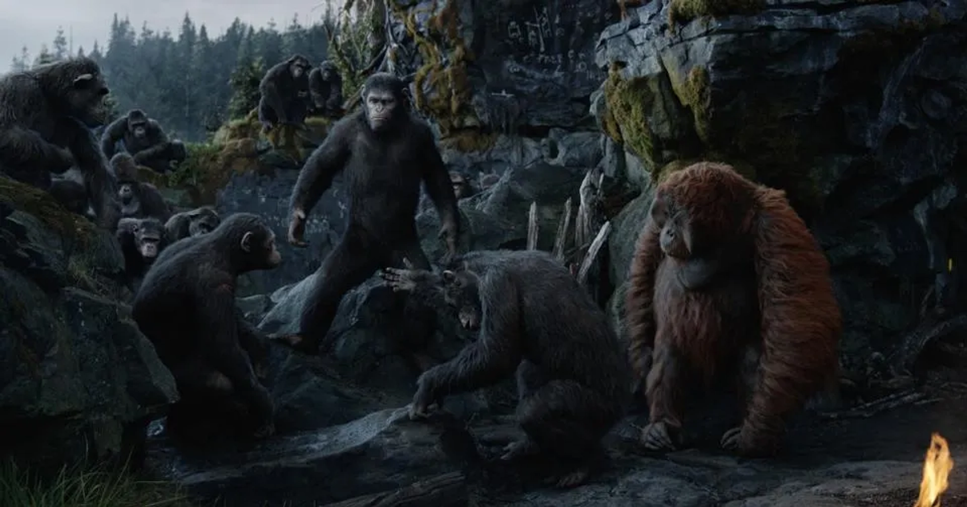 Karin Konoval, Andy Serkis, Toby Kebbell, and Nick Thurston in Dawn of the Planet of the Apes (2014)