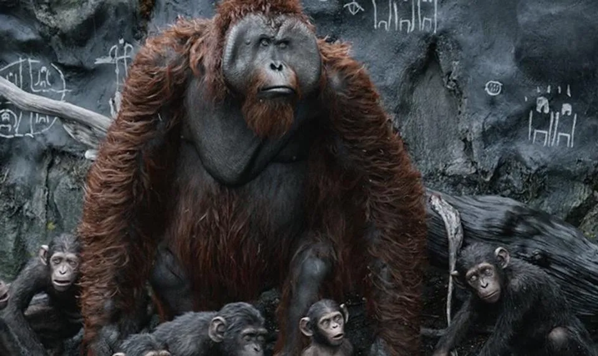 Karin Konoval in Dawn of the Planet of the Apes (2014)