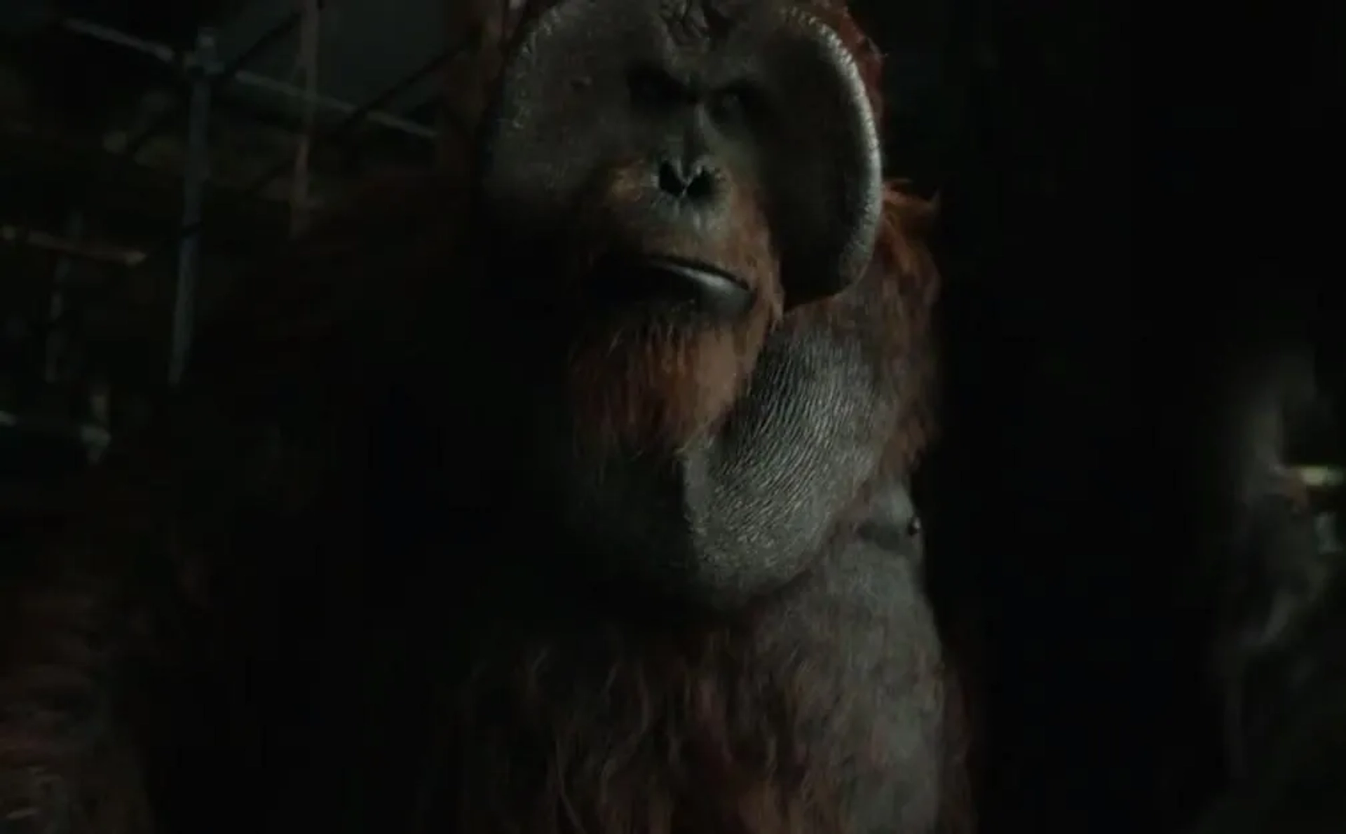 Karin Konoval in Dawn of the Planet of the Apes (2014)