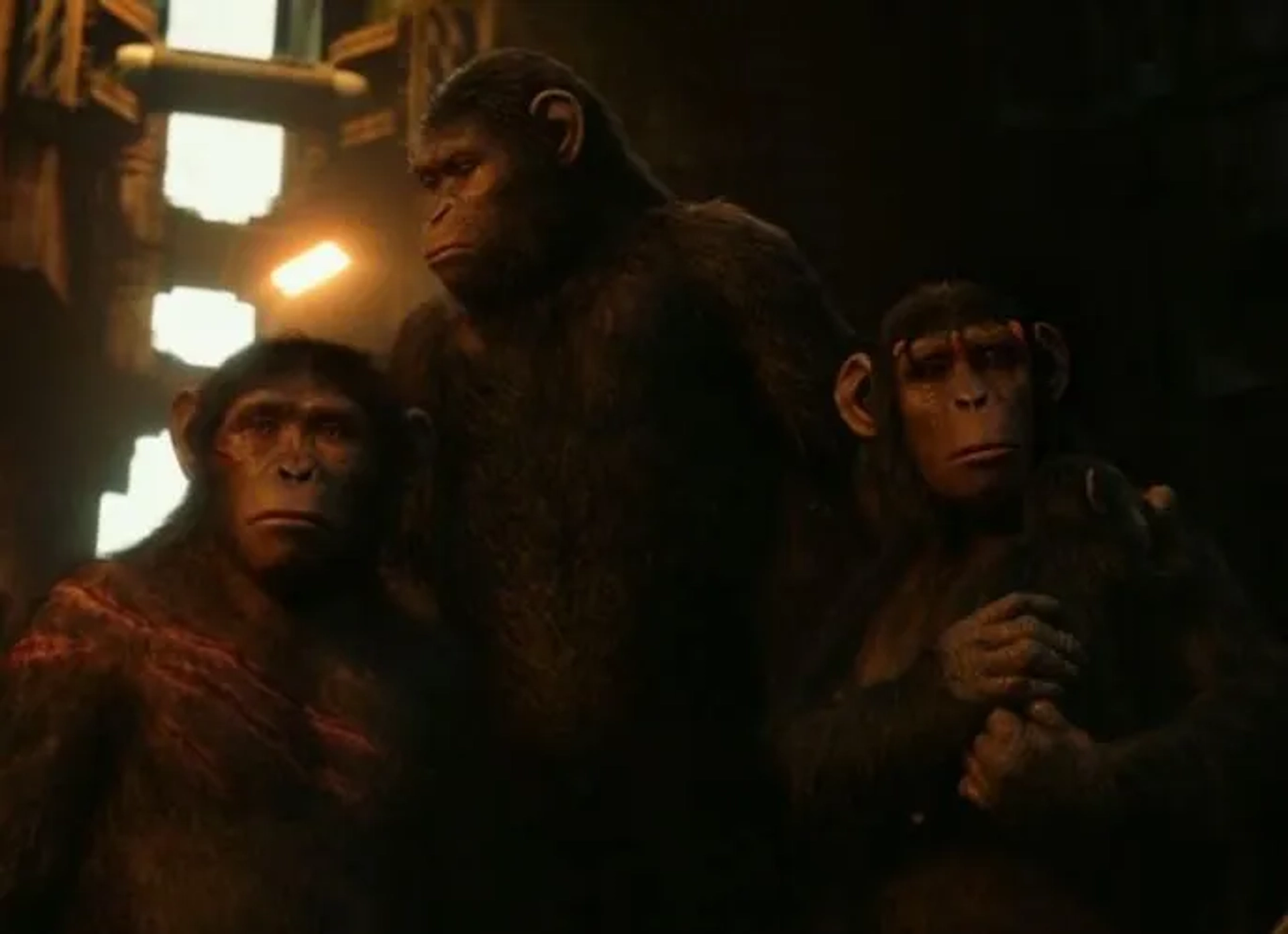 Judy Greer, Andy Serkis, and Nick Thurston in Dawn of the Planet of the Apes (2014)