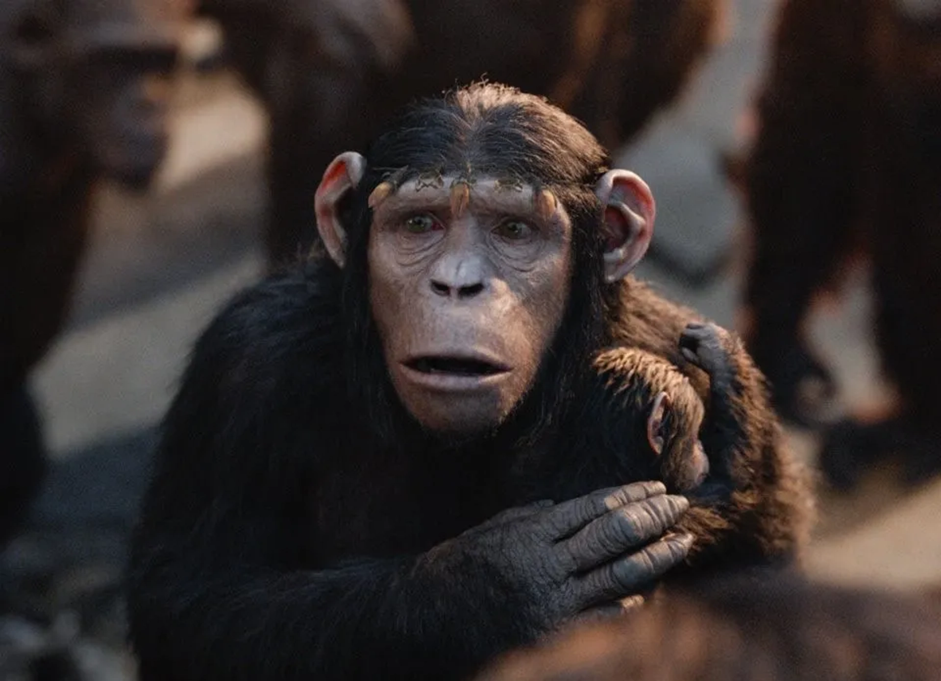 Judy Greer in Dawn of the Planet of the Apes (2014)