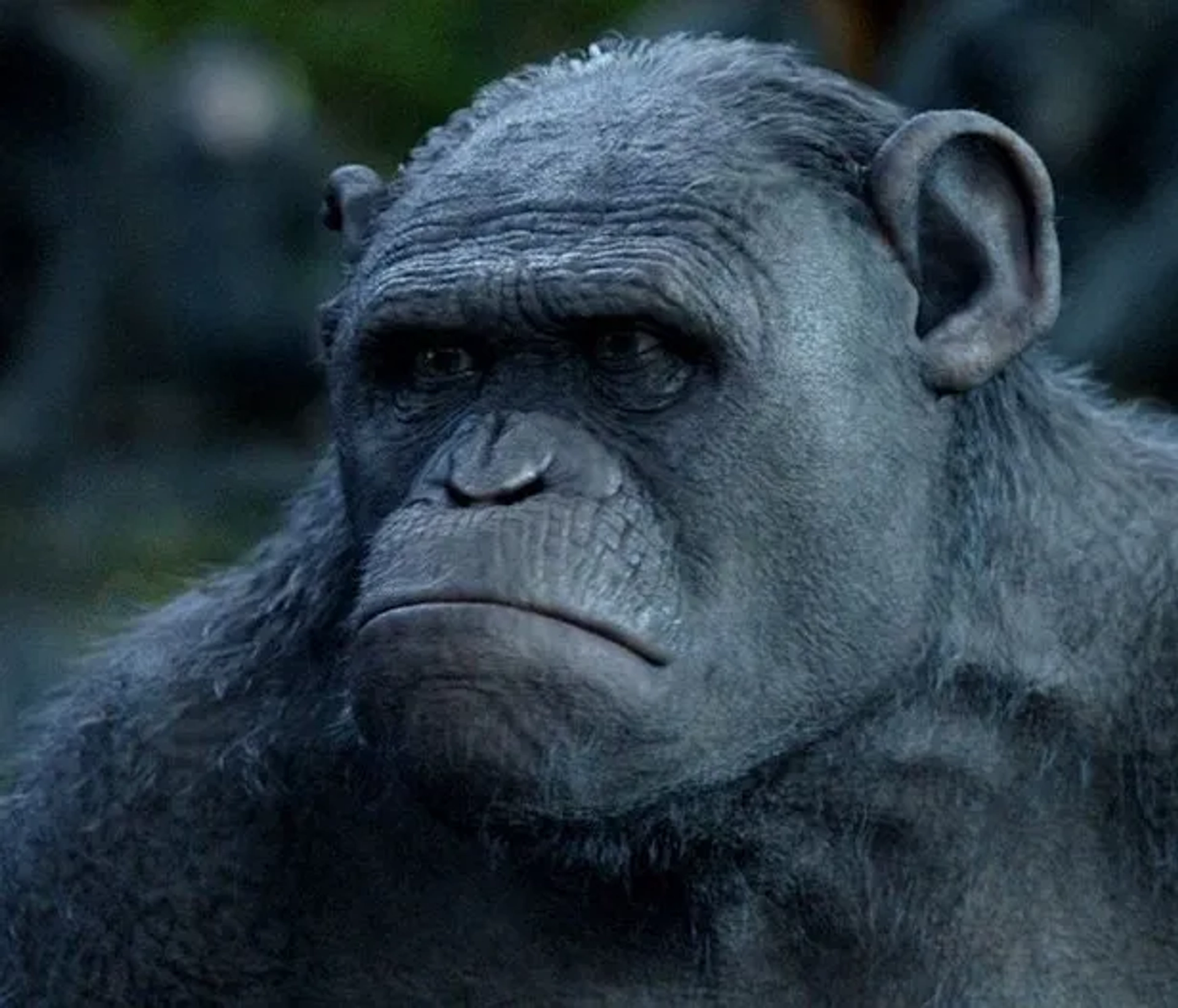 Terry Notary in Dawn of the Planet of the Apes (2014)